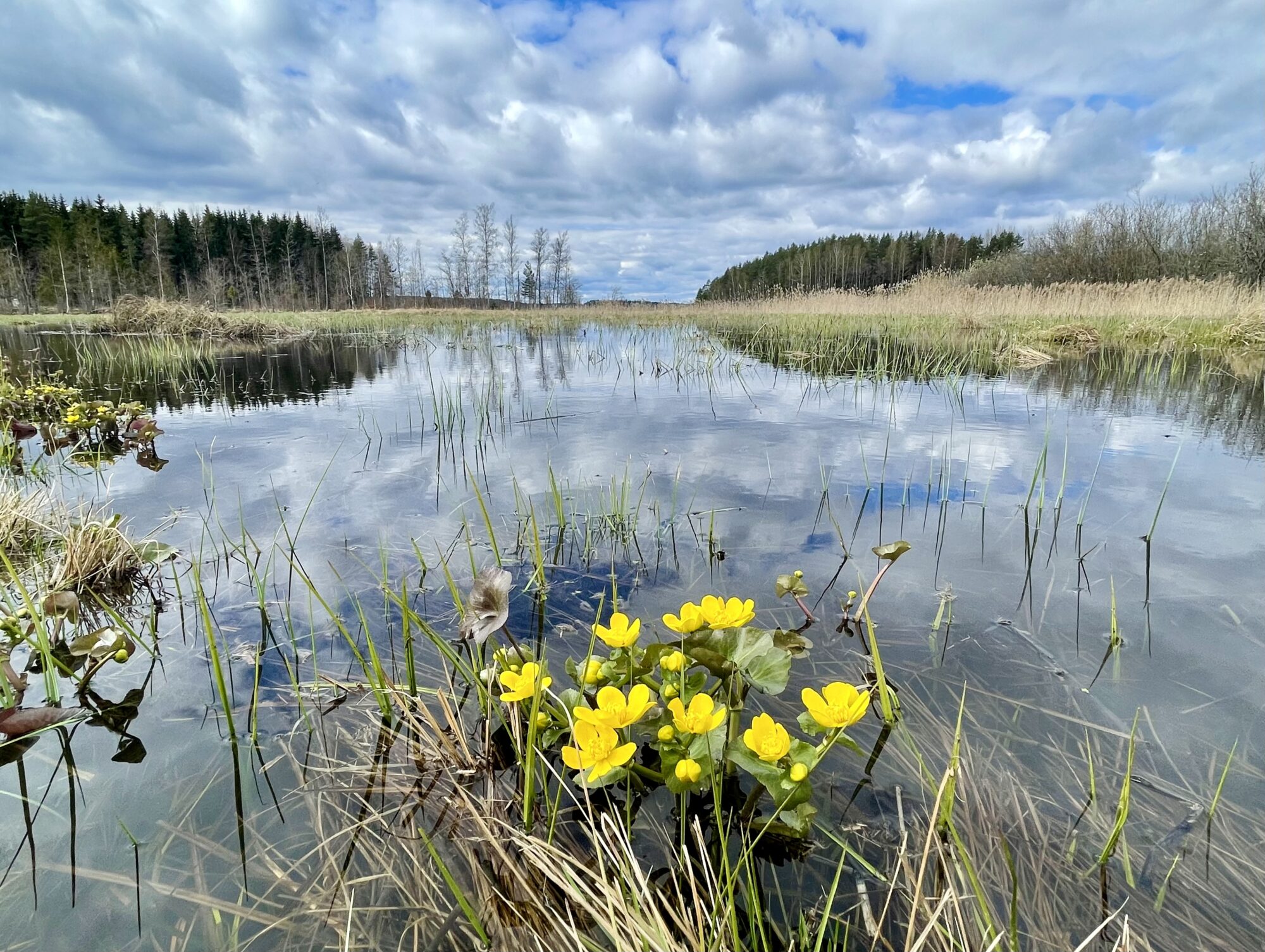 Valokuvaaja: Liisa Niiva-Korpela