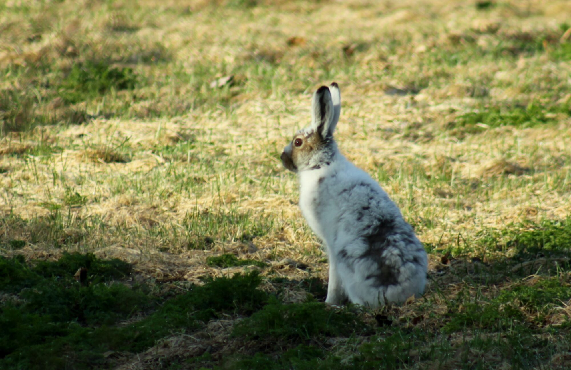 Valokuvaaja: Pirkko Siukonen
