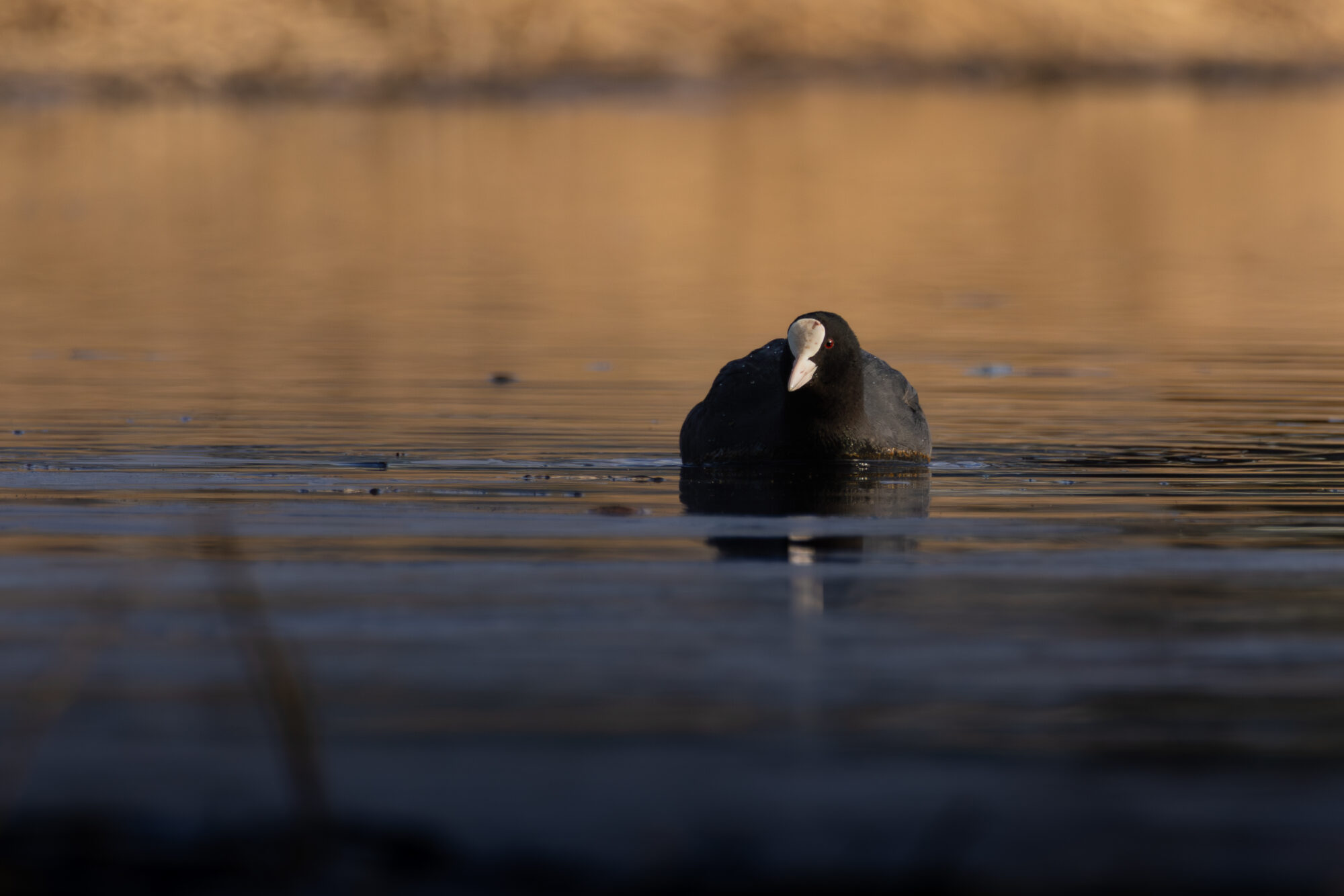 Valokuvaaja: Leevi Halme Valokuvaaja: Leevi Halme