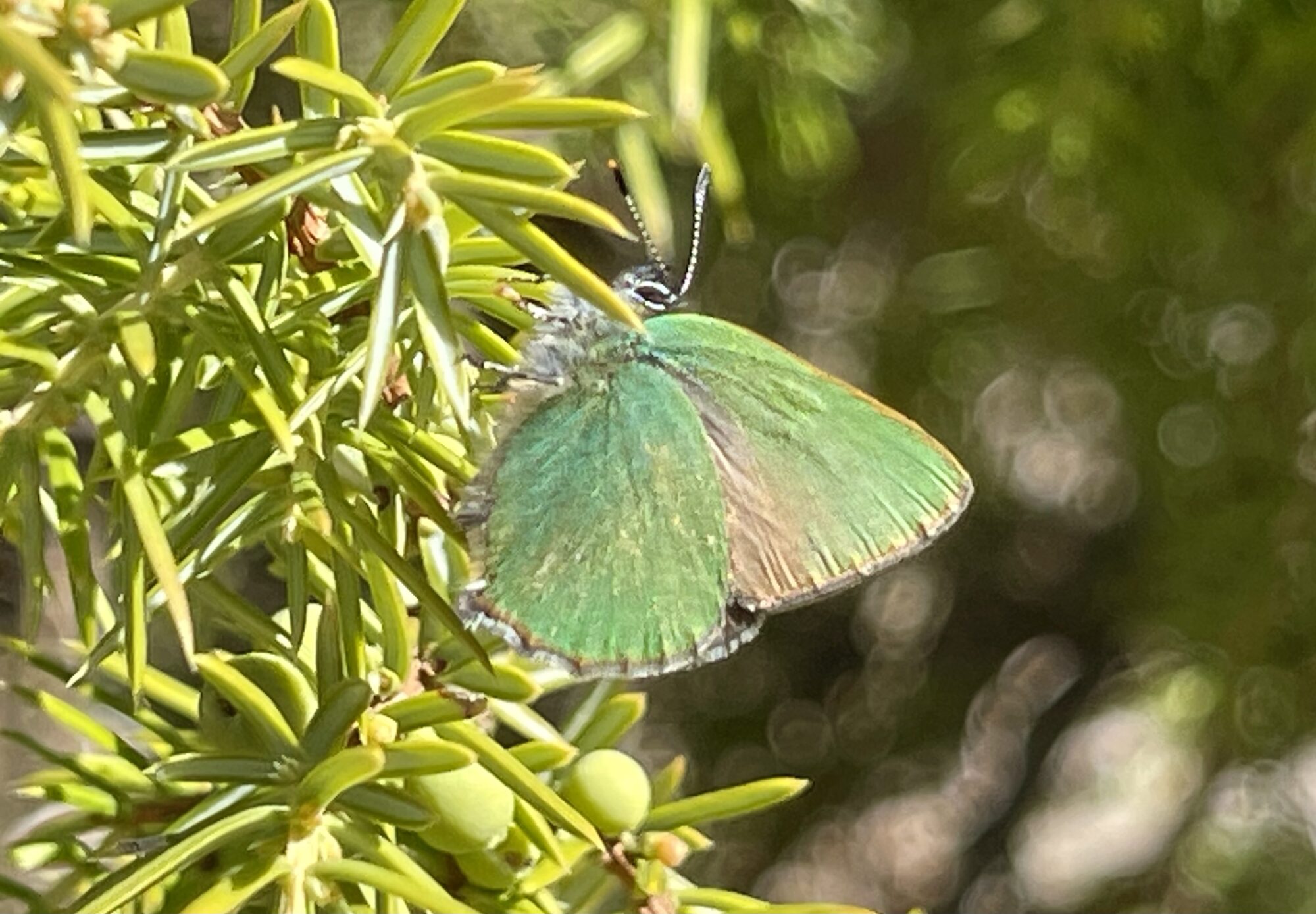 Valokuvaaja: Liisa Niiva-Korpela Valokuvaaja: Liisa Niiva-Korpela