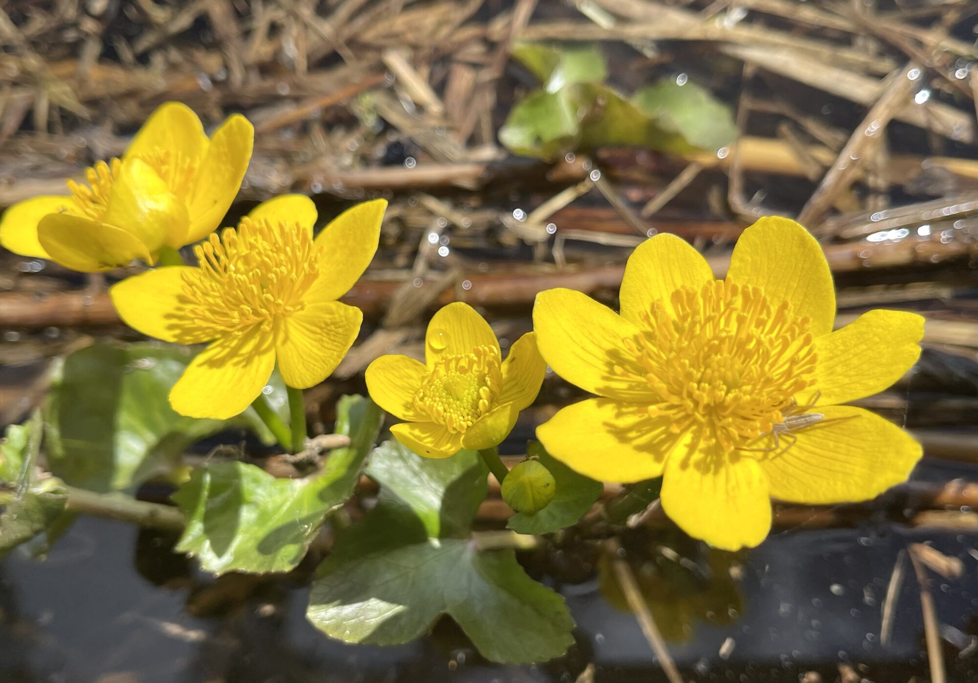Valokuvaaja: Liisa Niiva-Korpela