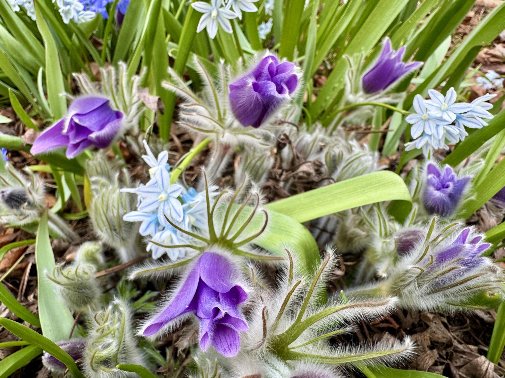 Valokuvaaja: Juhani Peltonen