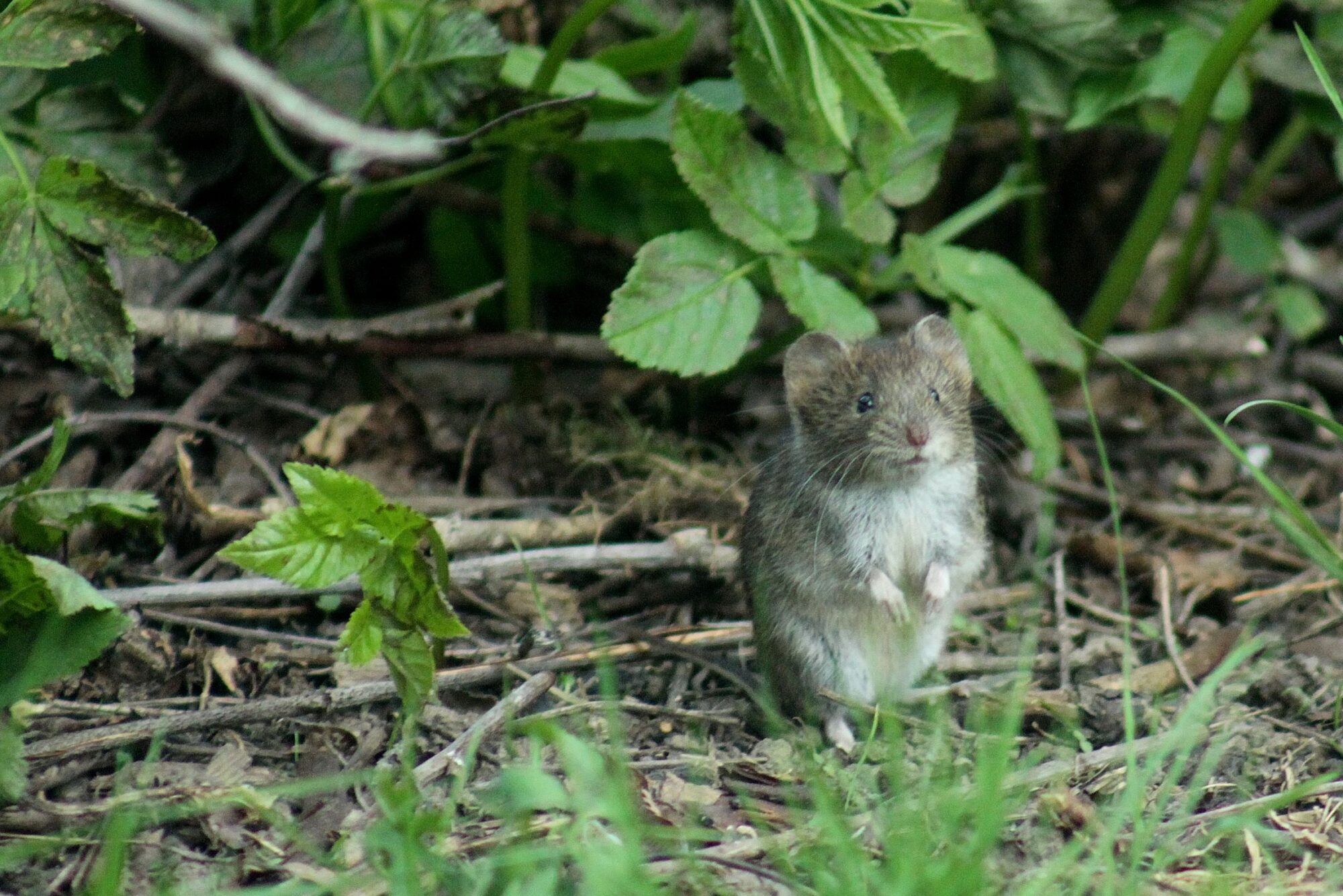 Valokuvaaja: Pirkko Siukonen