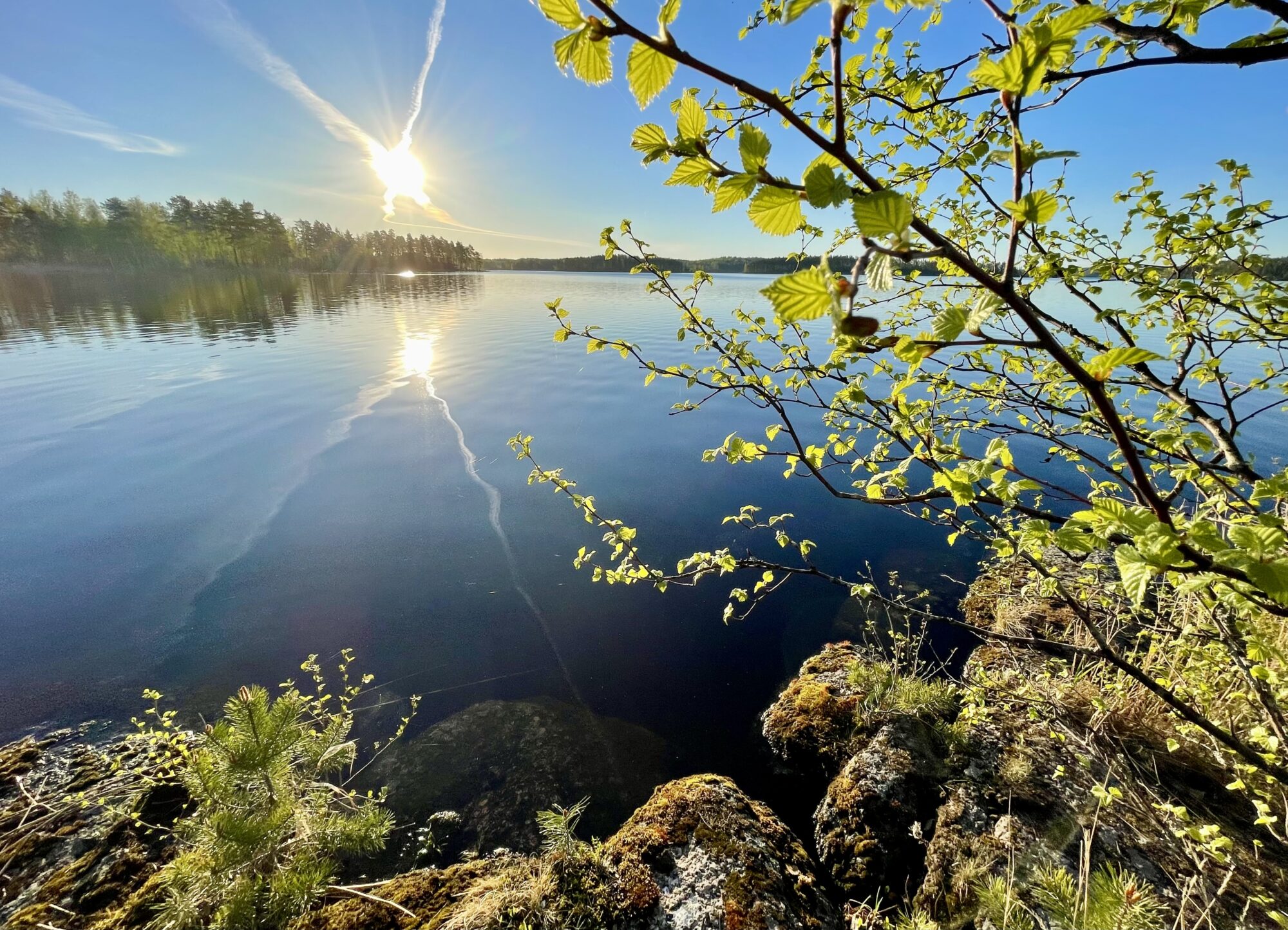 Valokuvaaja: Liisa Niiva-Korpela
