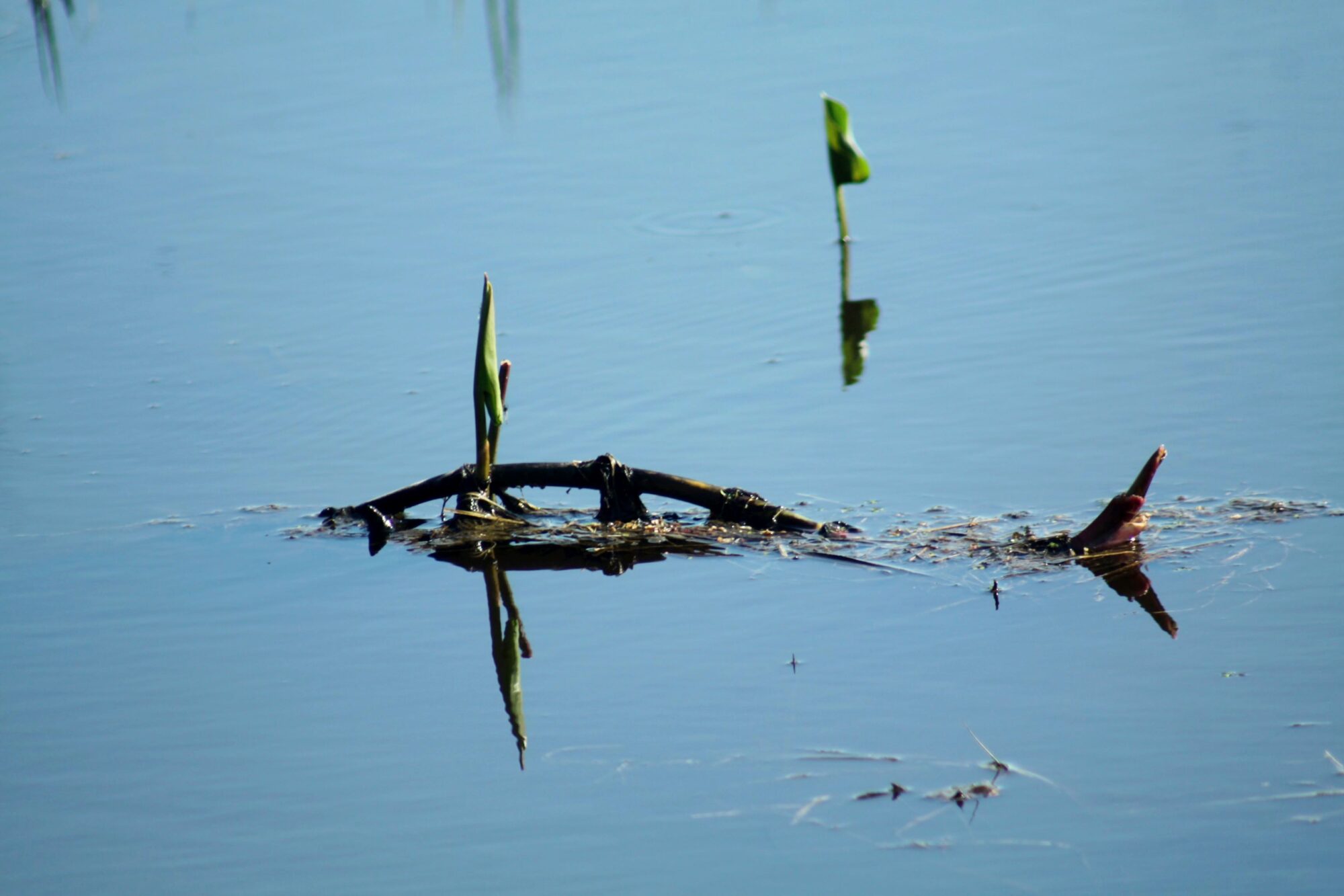 Valokuvaaja: Pirkko Siukonen