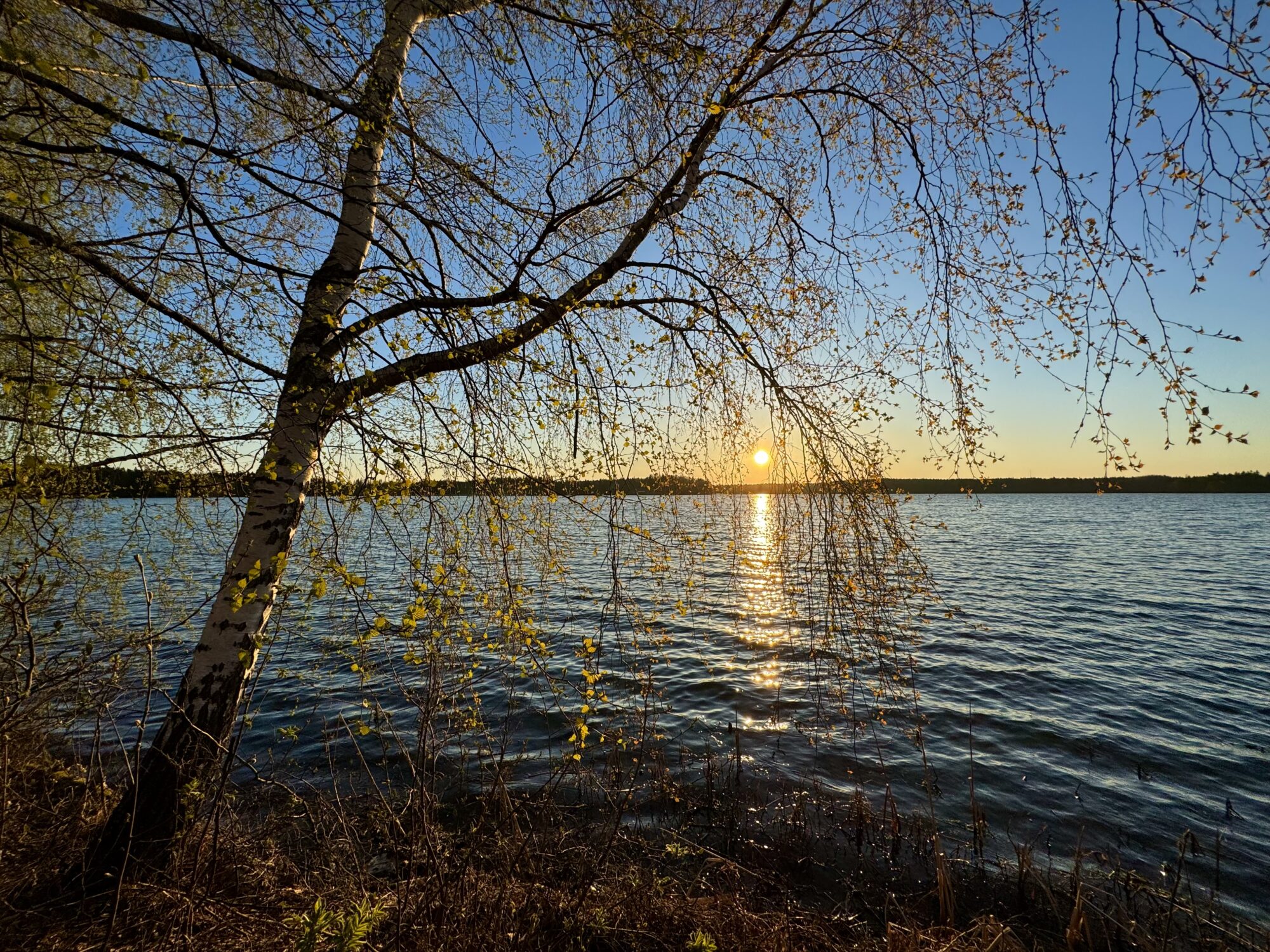 Valokuvaaja: Juhani Peltonen