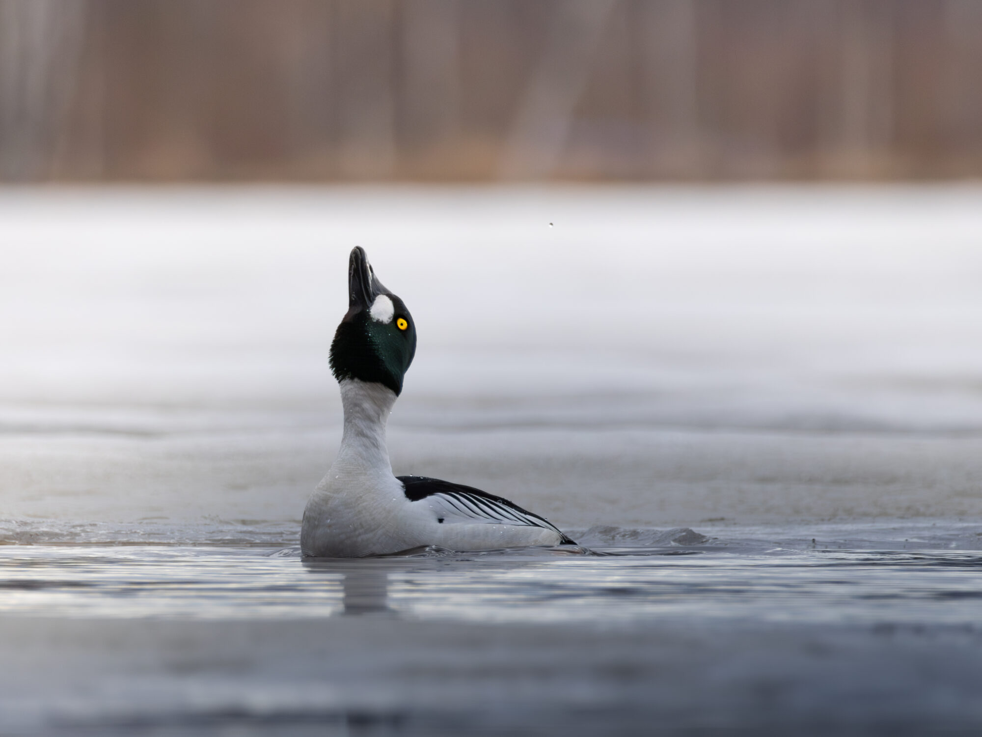 Valokuvaaja: Leevi Halme