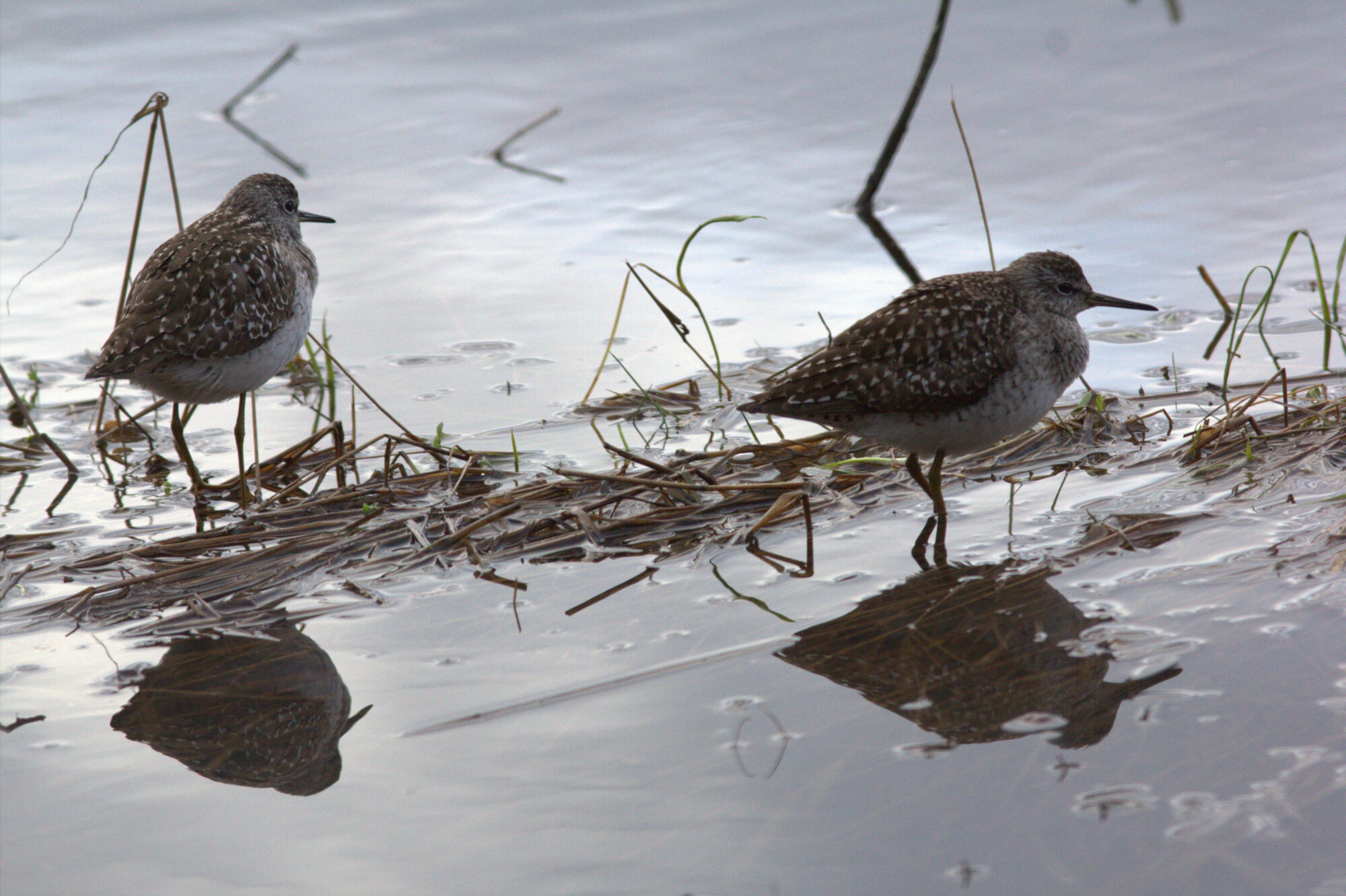 Valokuvaaja: Tapio Keinonen