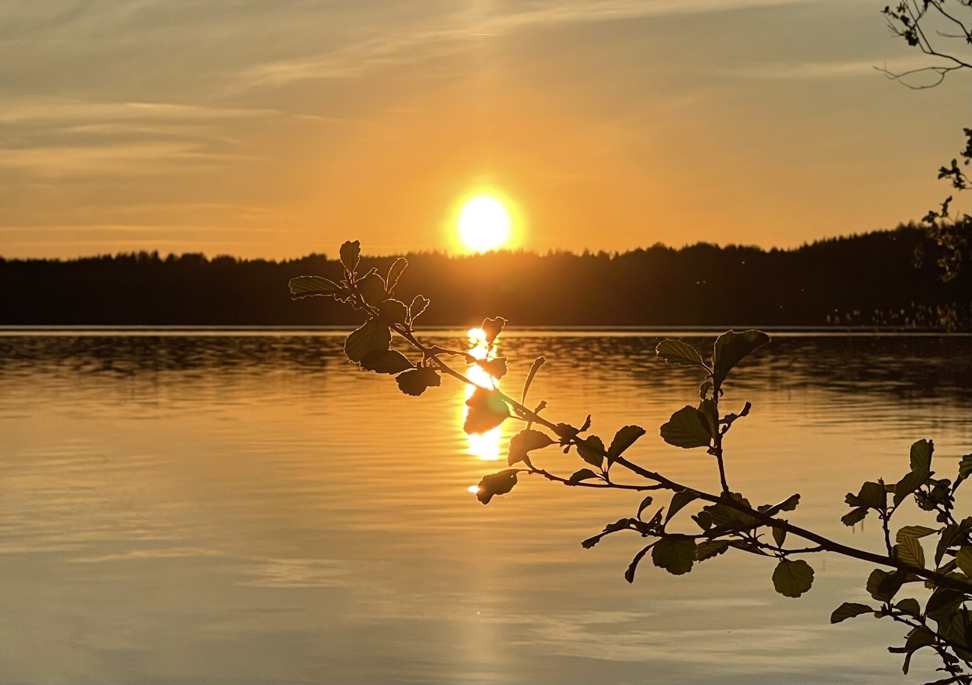 Valokuvaaja: Liisa Niiva-Korpela