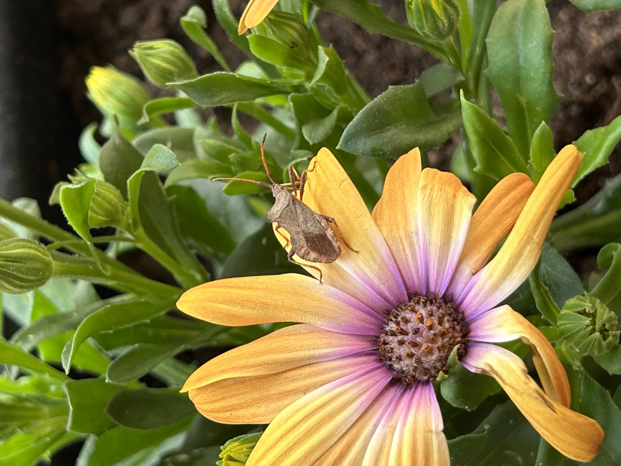 Valokuvaaja: Anne Toura