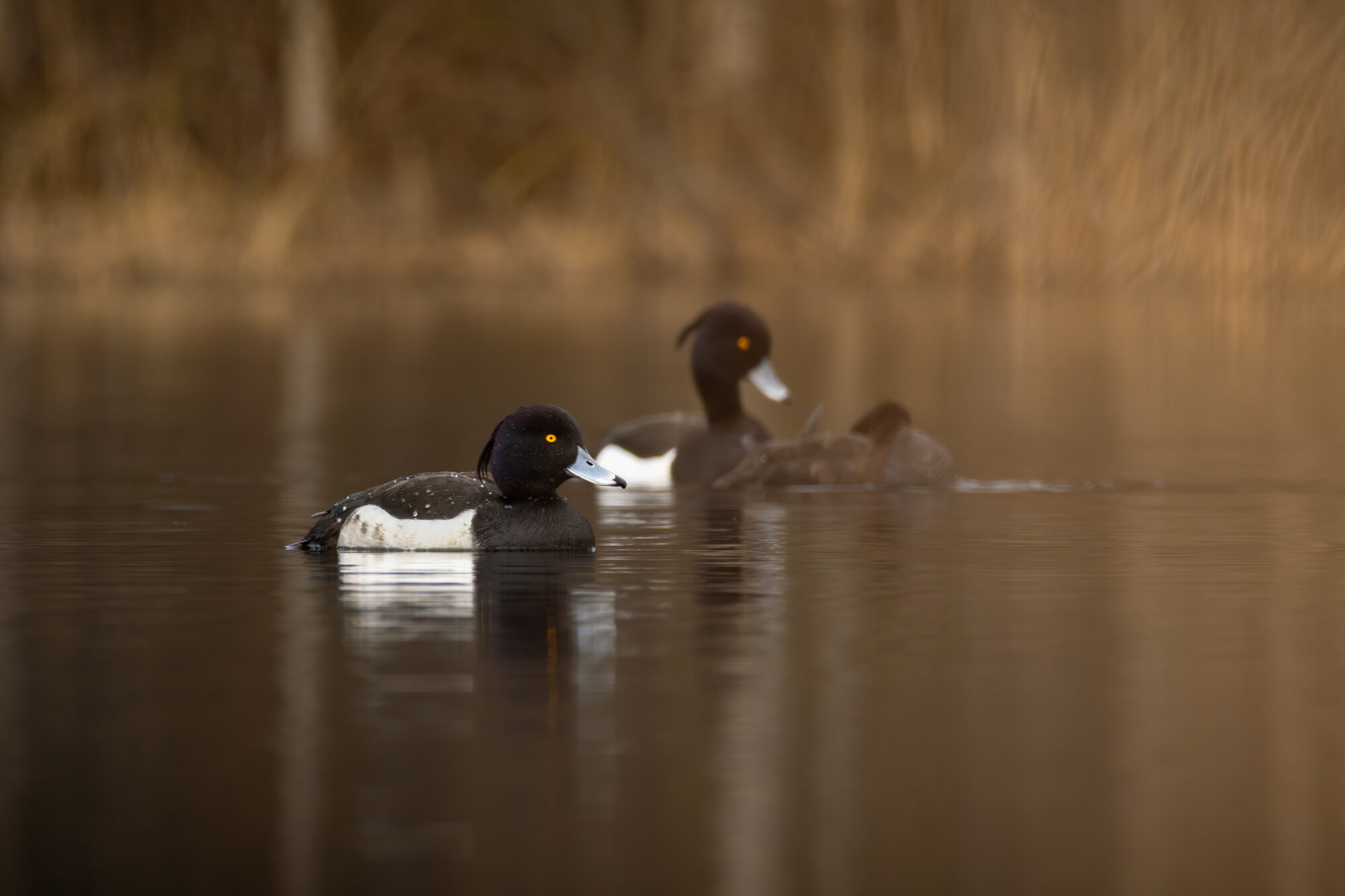 Valokuvaaja: Leevi Halme