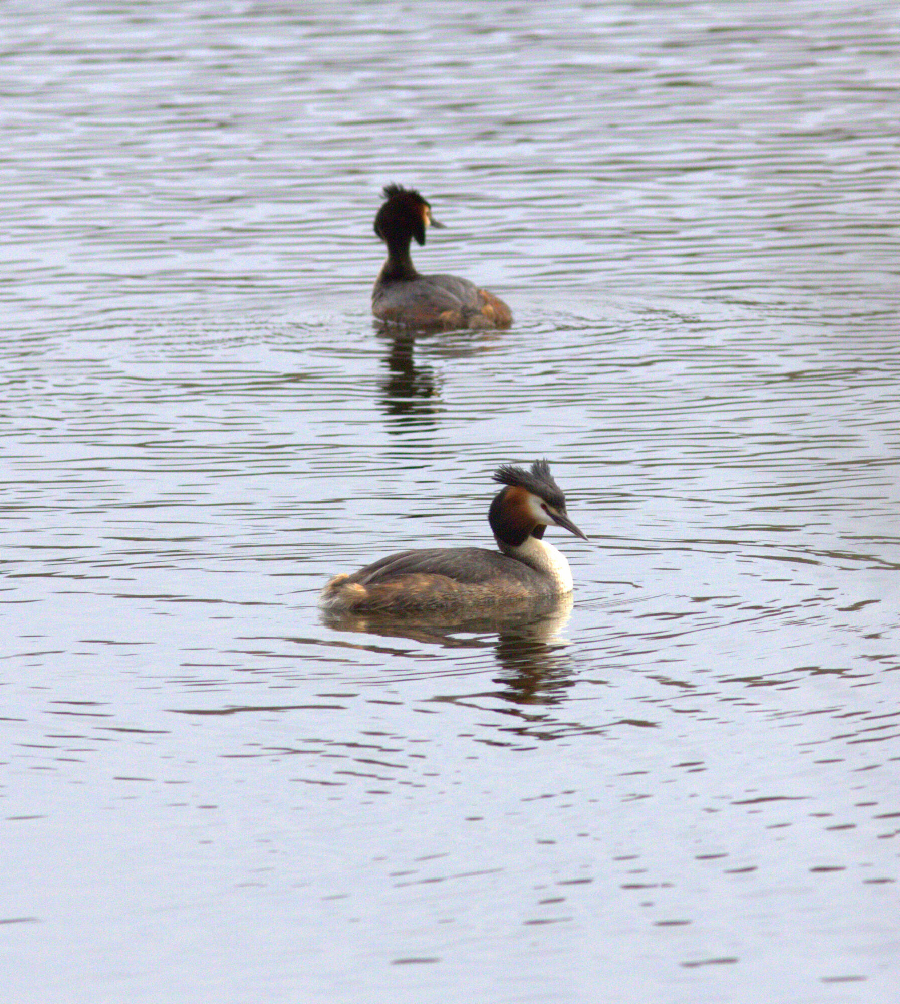 Valokuvaaja: Tapio Keinonen