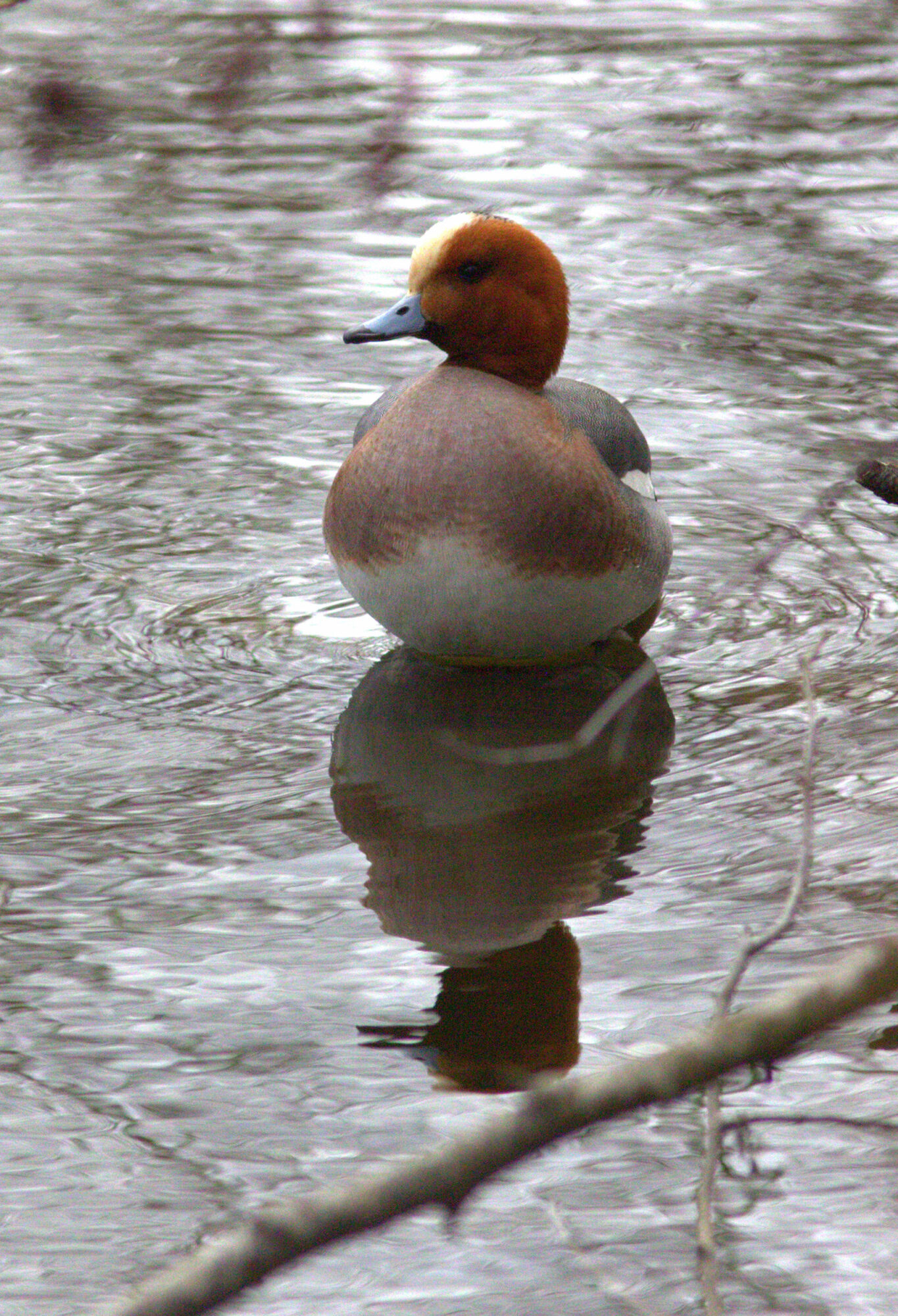 Valokuvaaja: Tapio Keinonen
