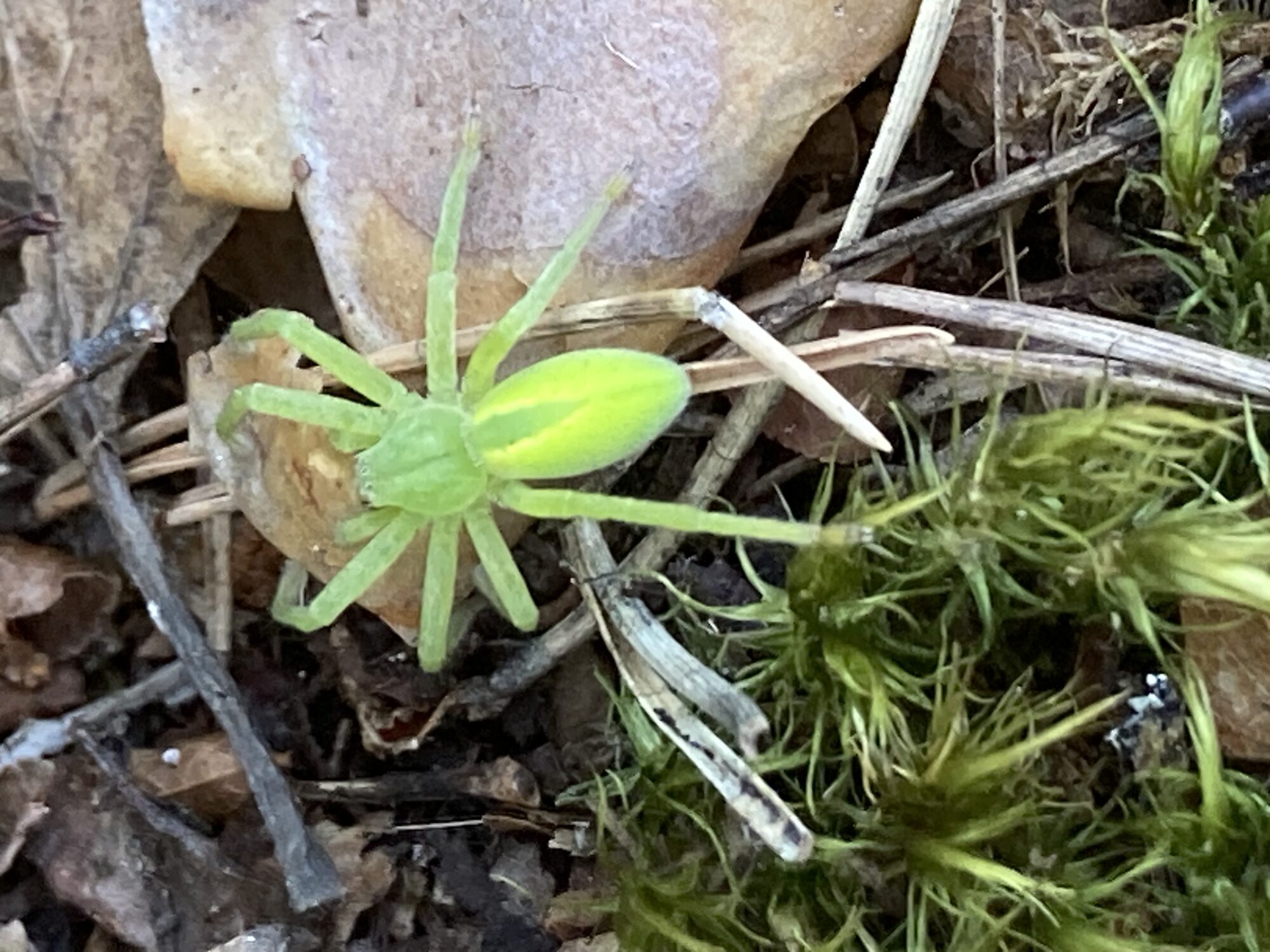 Valokuvaaja: Tuovinen Tiina