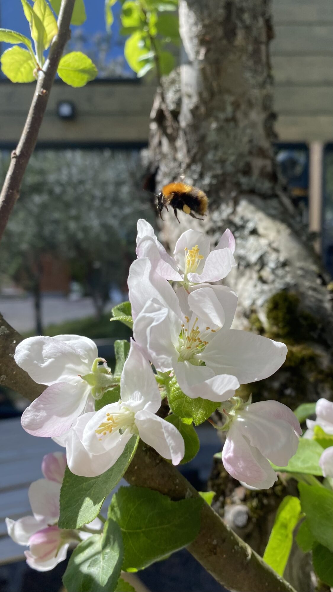 Valokuvaaja: Mikko Siikavesi