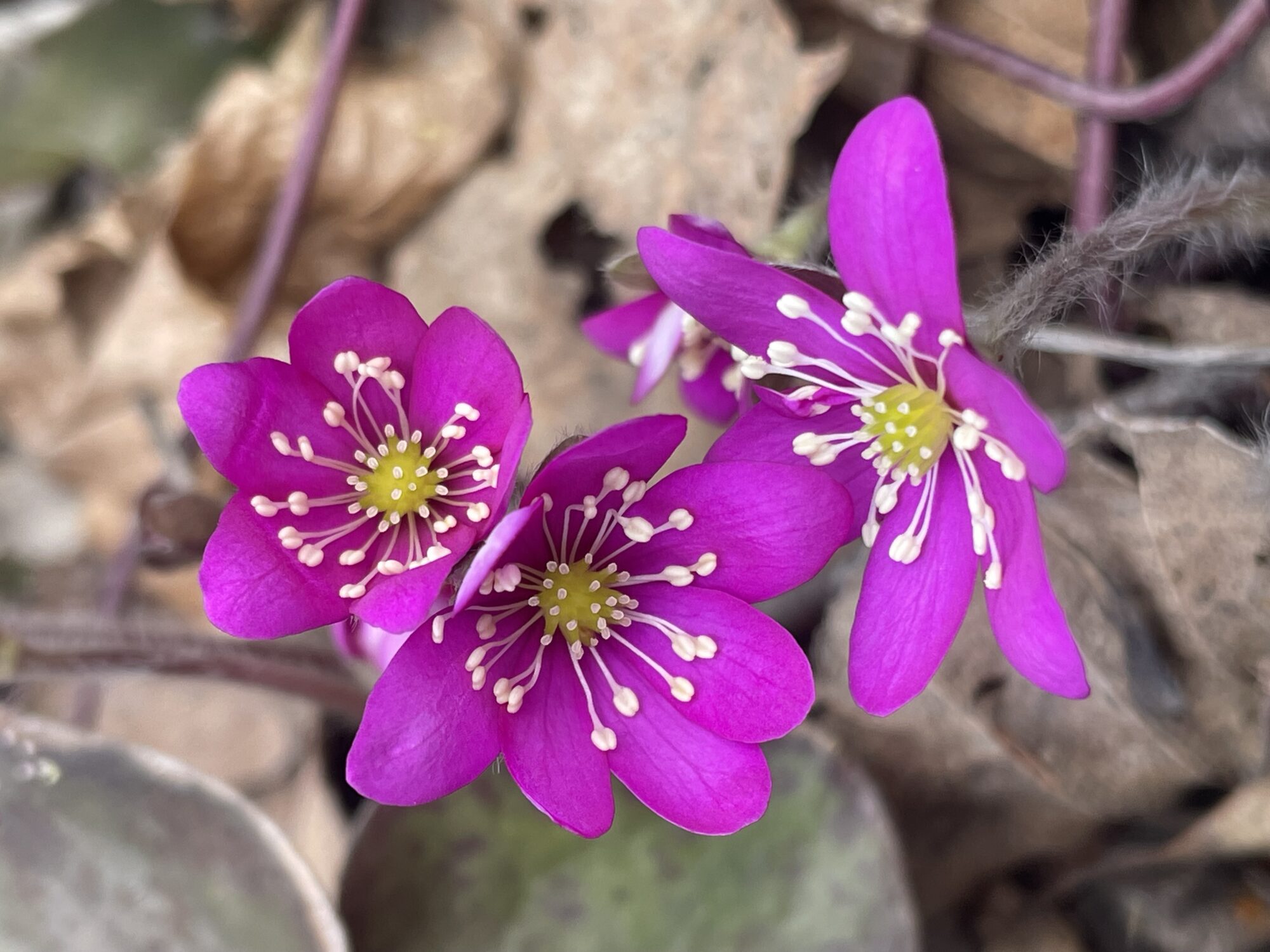 Valokuvaaja: Erja Mäkelä
