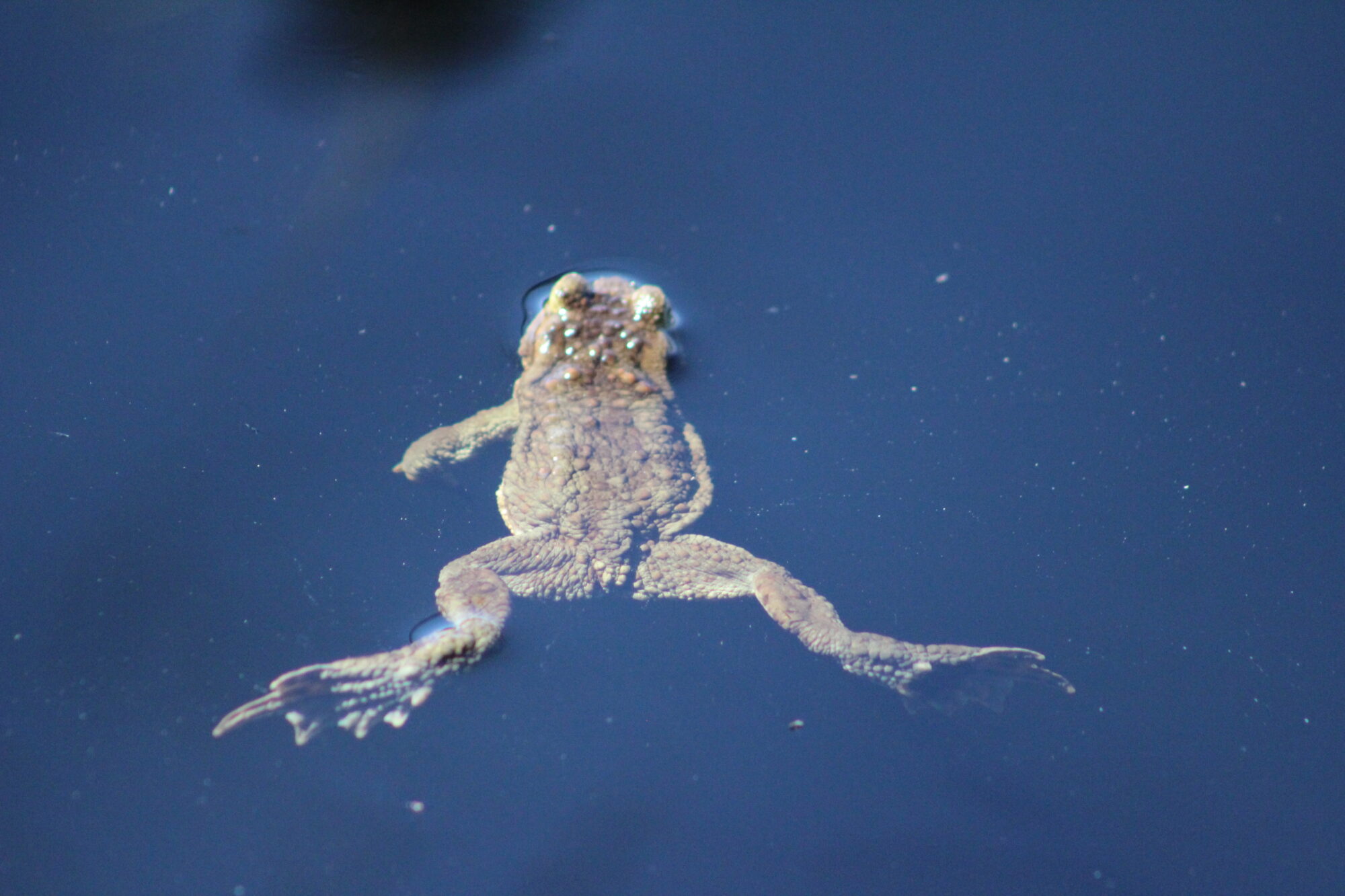 Valokuvaaja: Lisa Aarnio