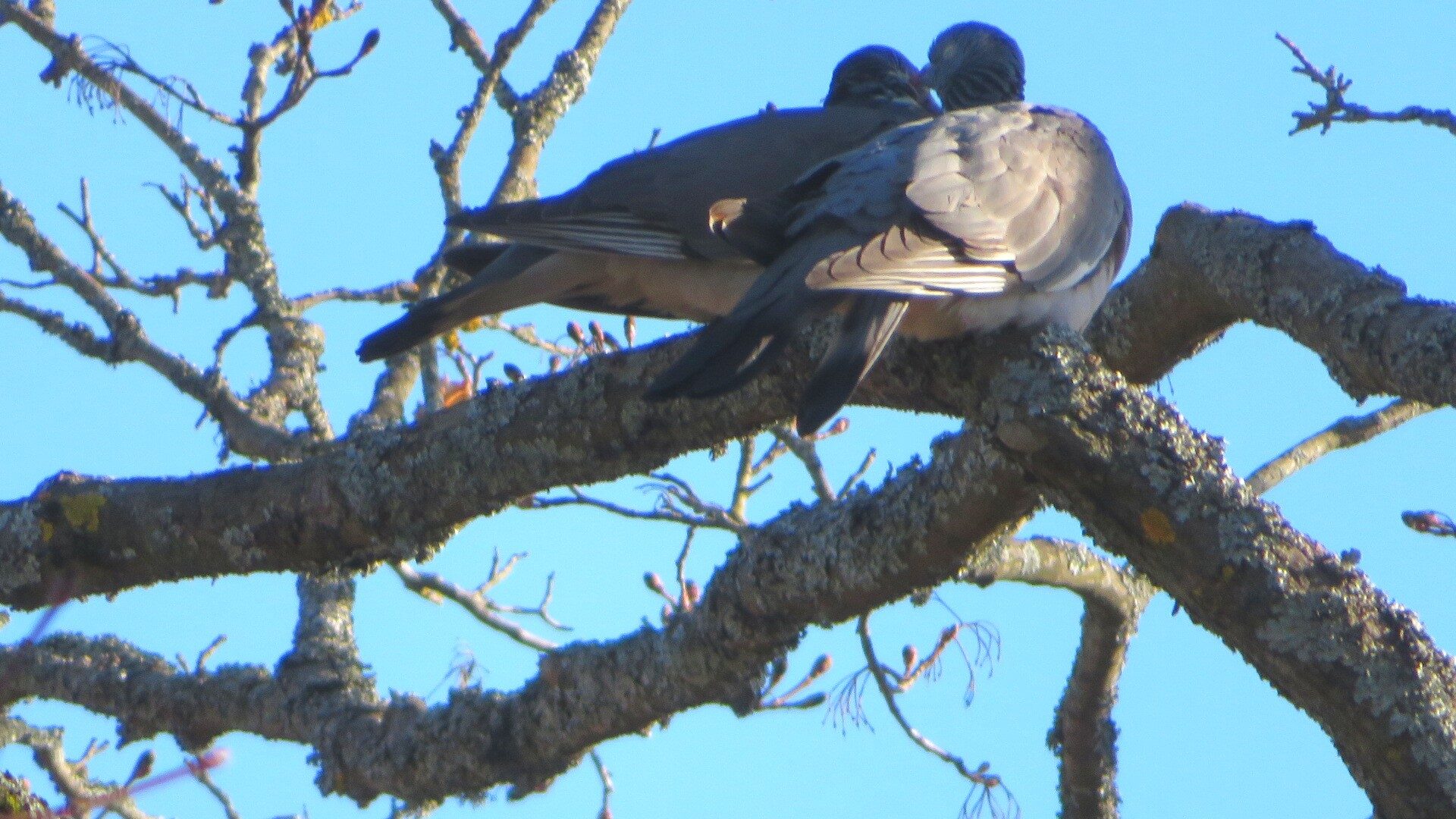 Valokuvaaja: Risto Kangassalo
