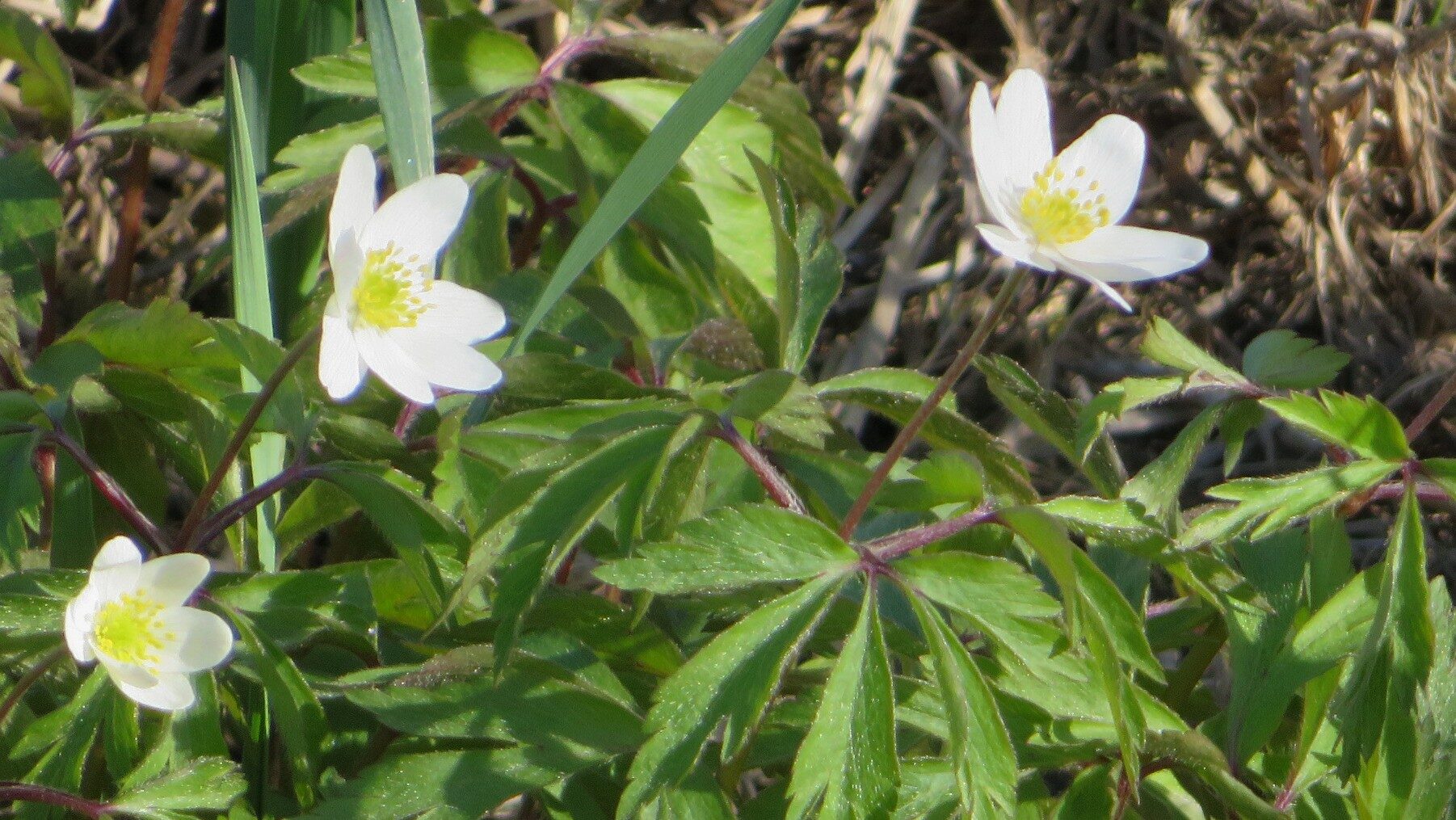 Valokuvaaja: Risto Kangassalo