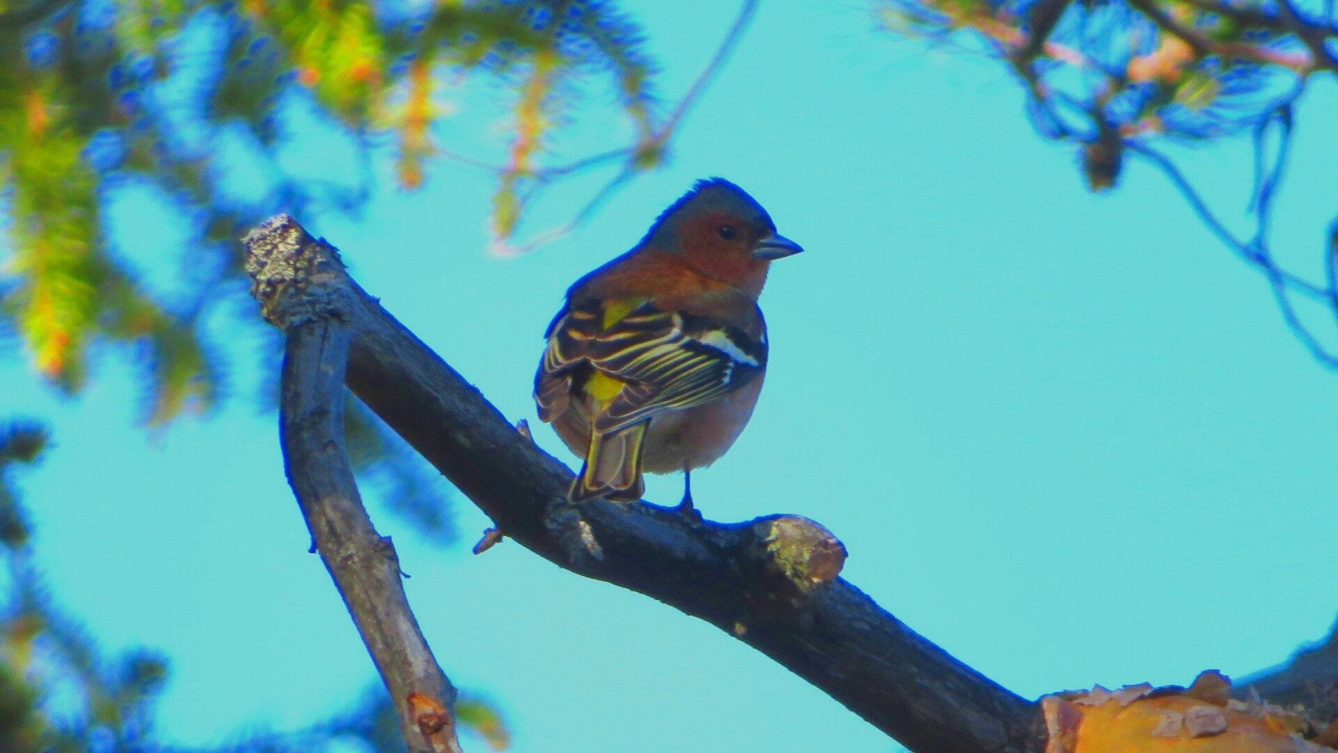 Valokuvaaja: Risto Kangassalo