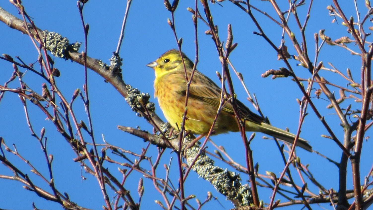 Valokuvaaja: Risto Kangassalo
