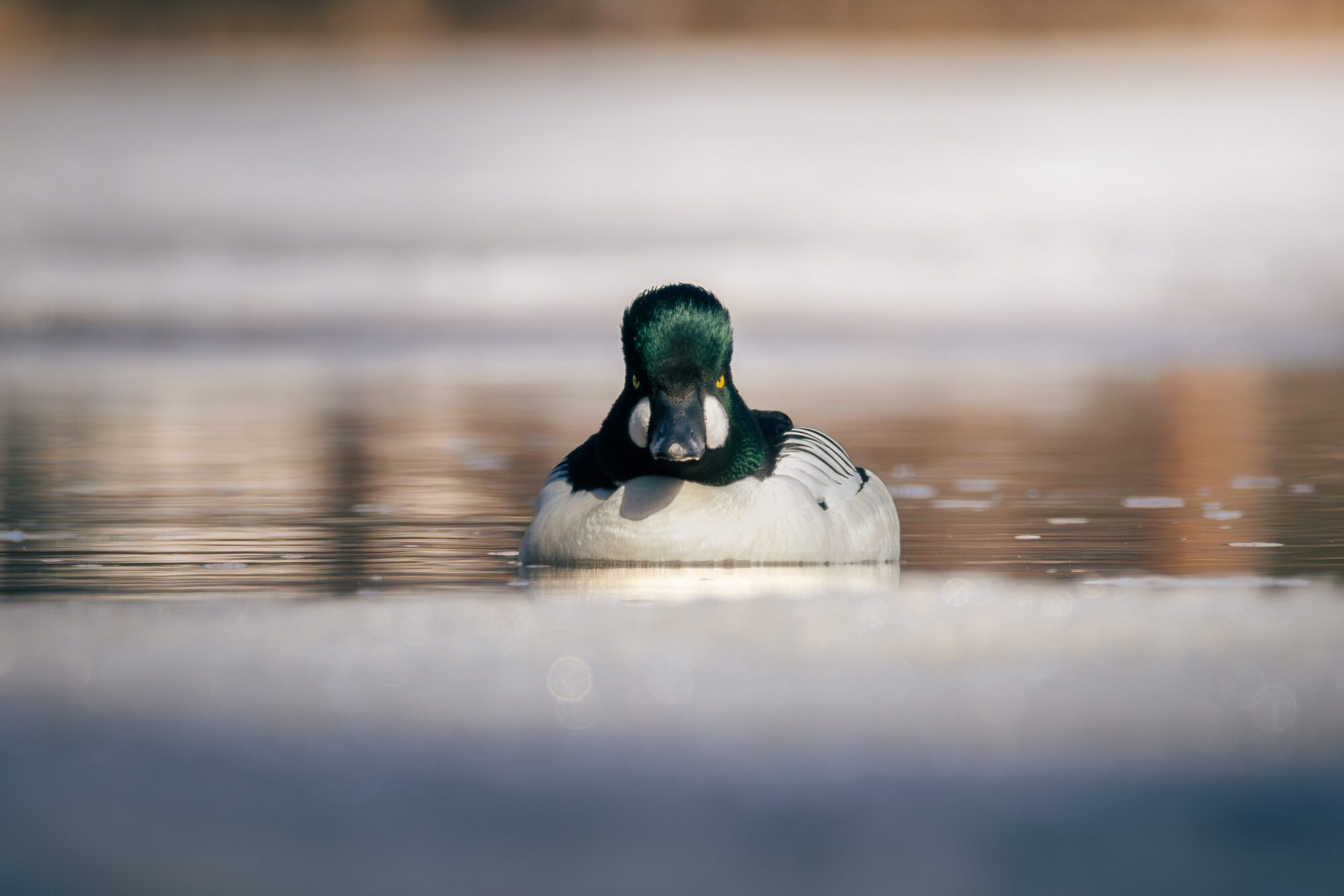 Valokuvaaja: Leevi Halme