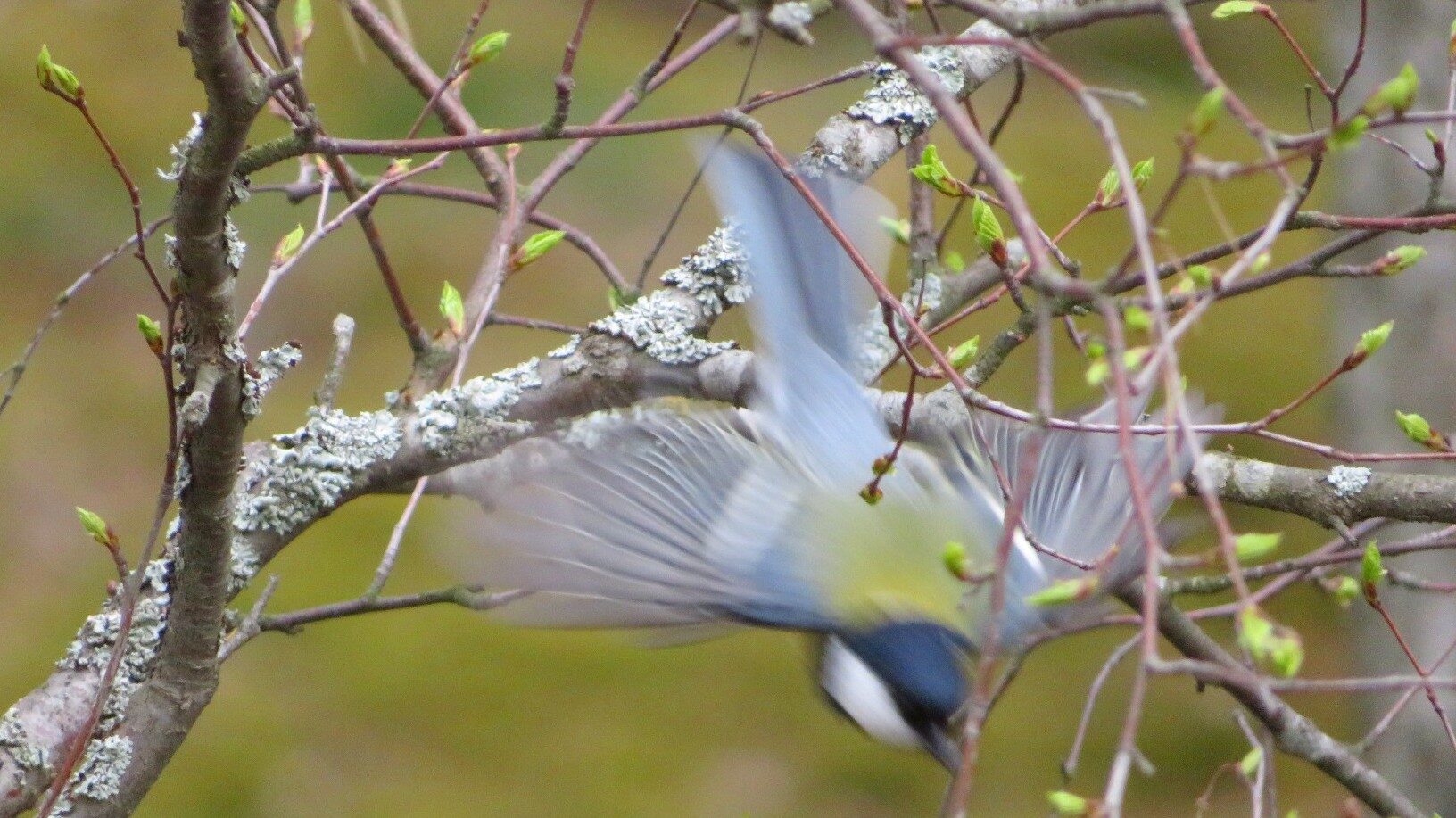 Valokuvaaja: Risto Kangassalo