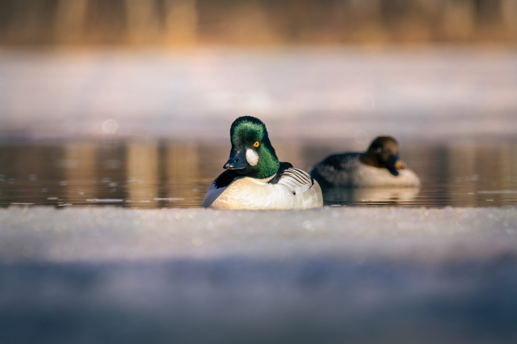 Valokuvaaja: Leevi Halme Valokuvaaja: Leevi Halme