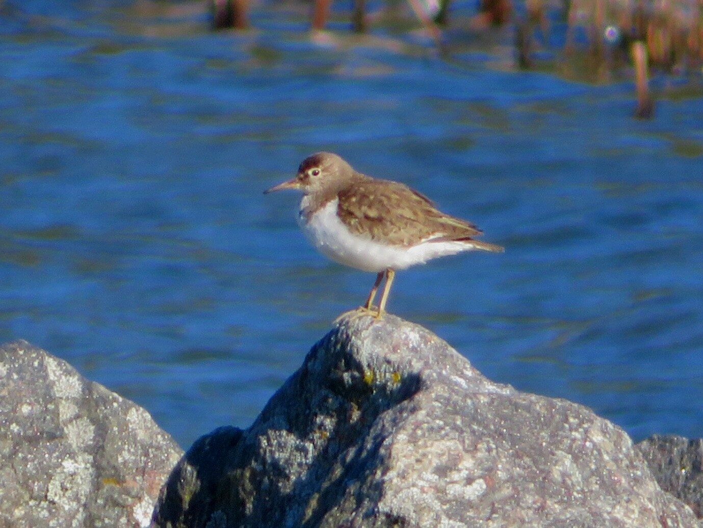 Valokuvaaja: Risto Kangassalo