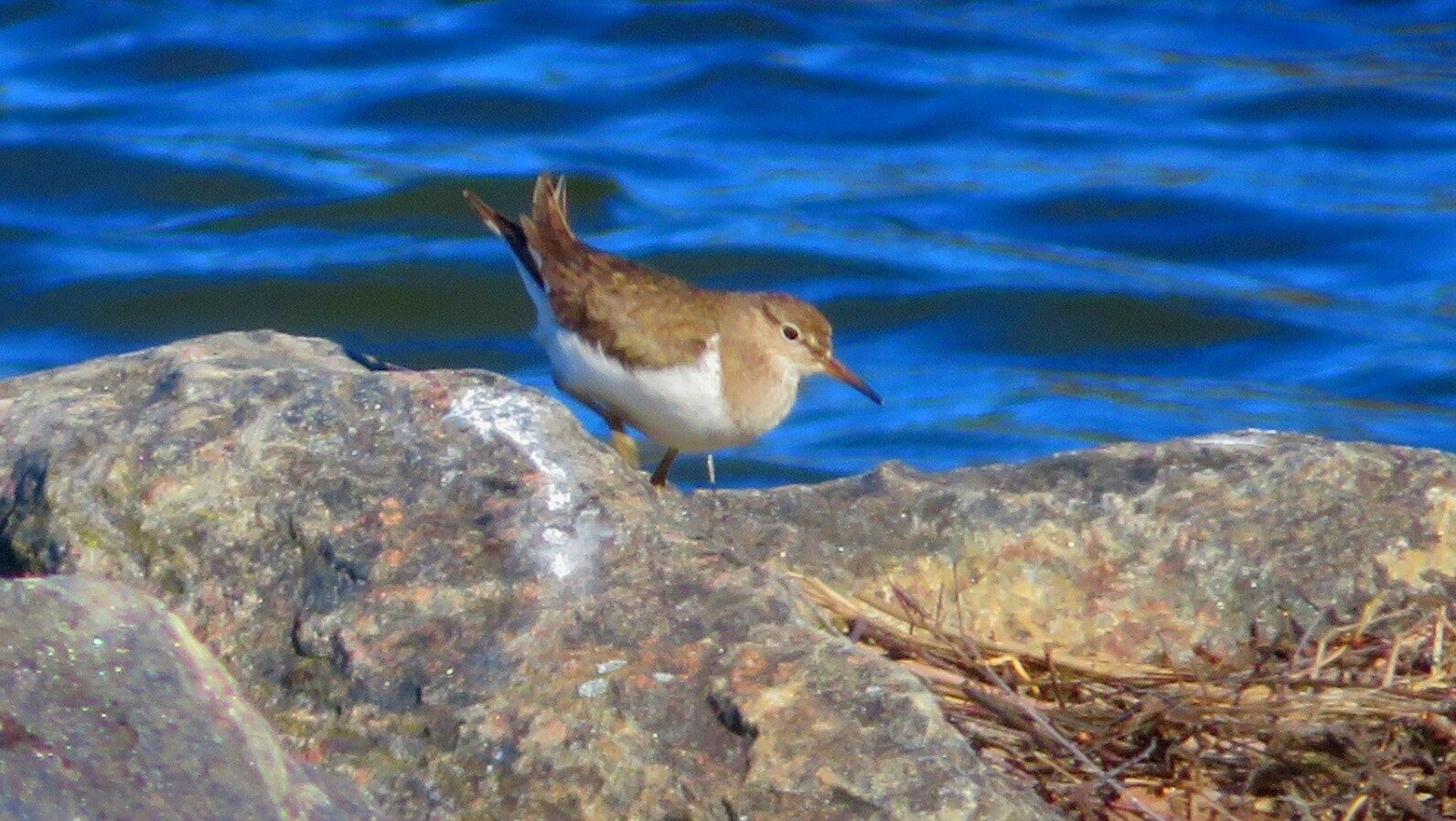 Valokuvaaja: Risto Kangassalo