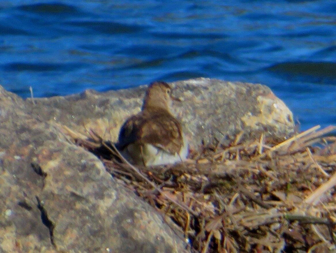 Valokuvaaja: Risto Kangassalo