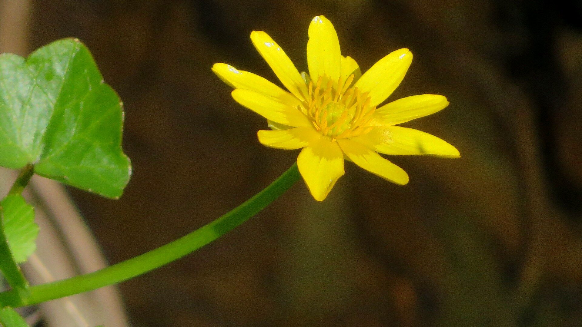 Valokuvaaja: Risto Kangassalo