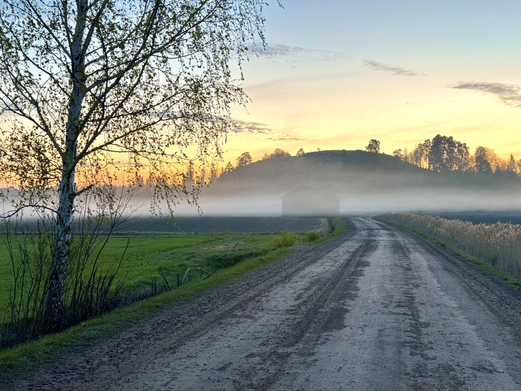 Valokuvaaja: Juhani Peltonen