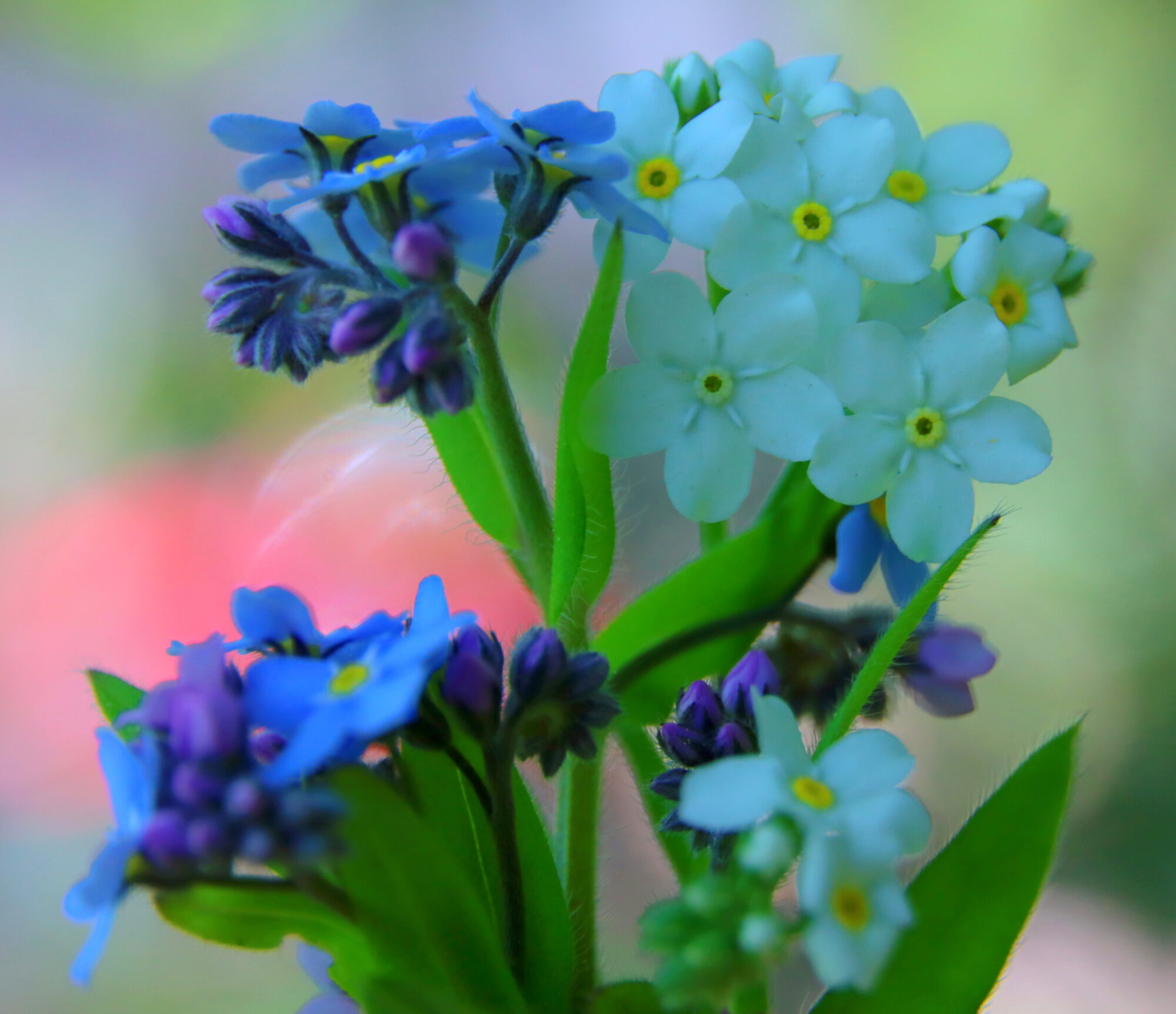 Valokuvaaja: Irja Lehtinen