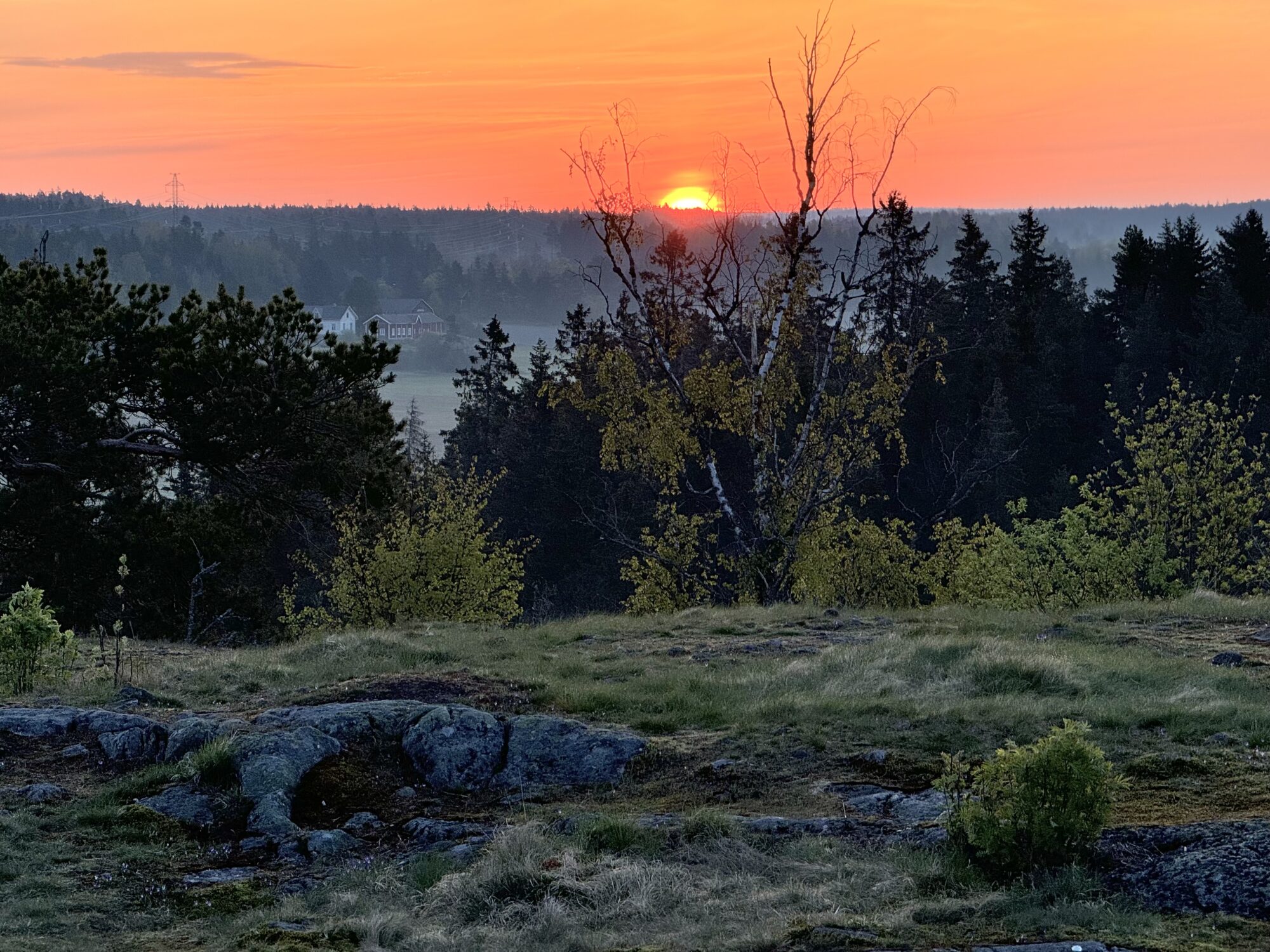 Valokuvaaja: Juhani Peltonen