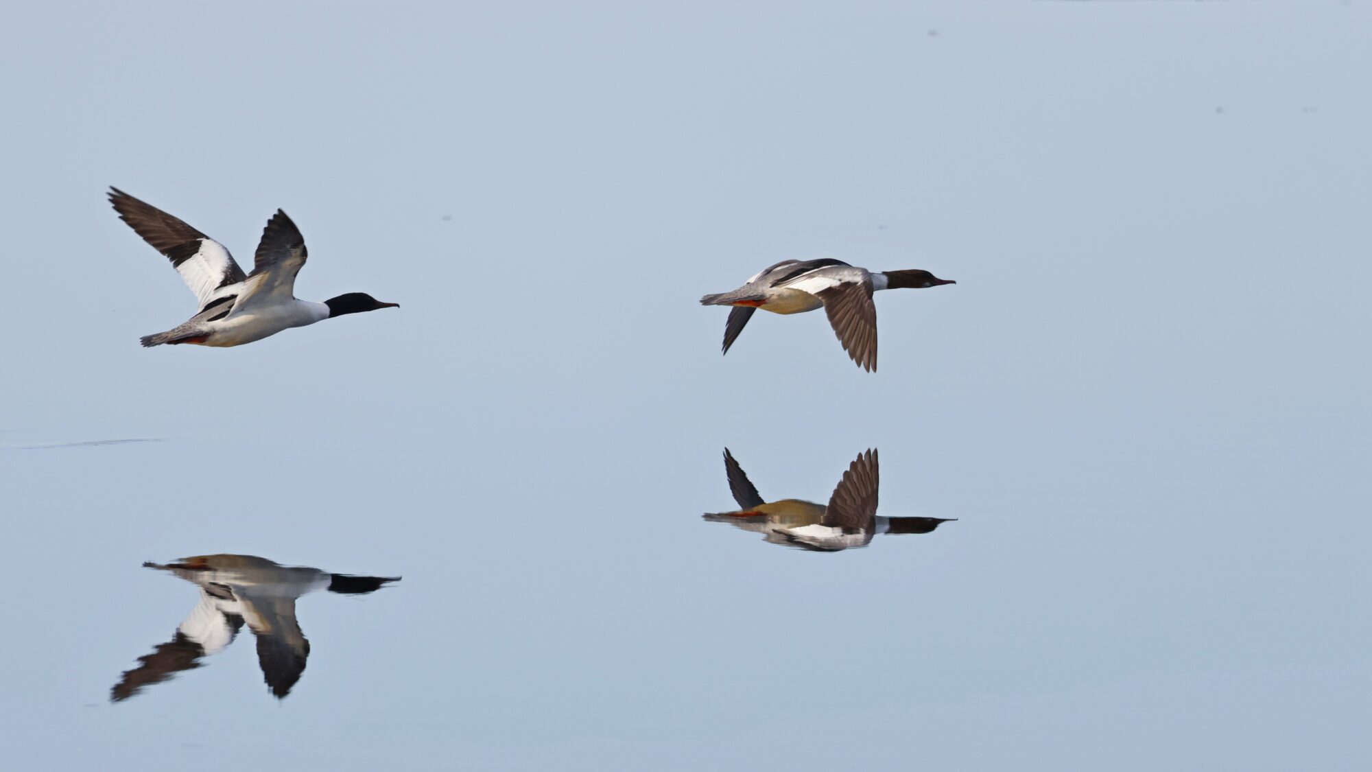 Valokuvaaja: TOMMI KUJALA