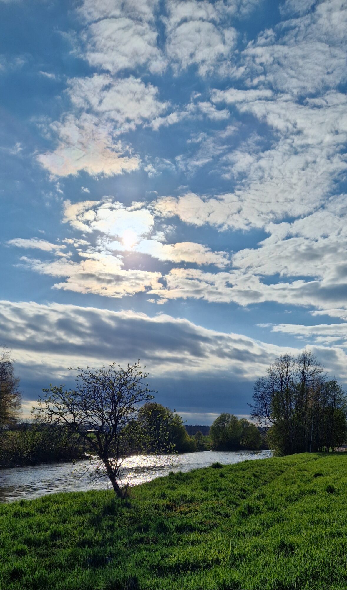 Valokuvaaja: Anne Viitala