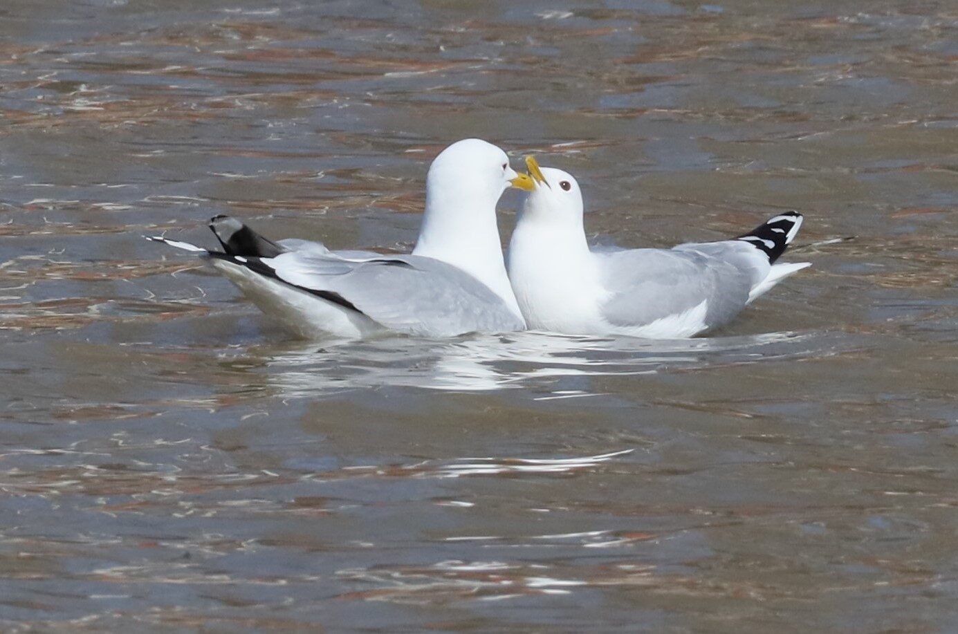 Valokuvaaja: Armi Järvinen