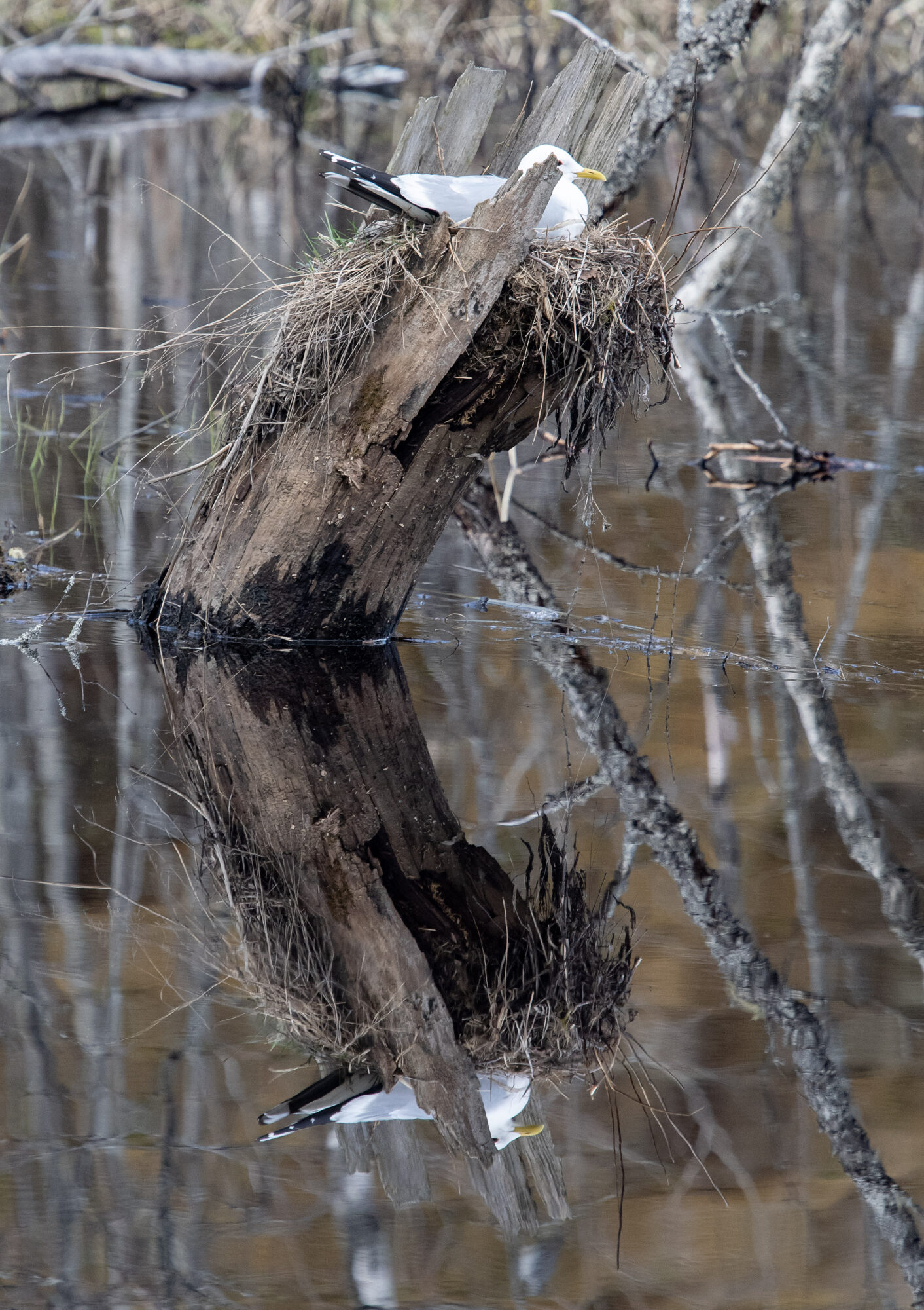 Valokuvaaja: Matti Manninen