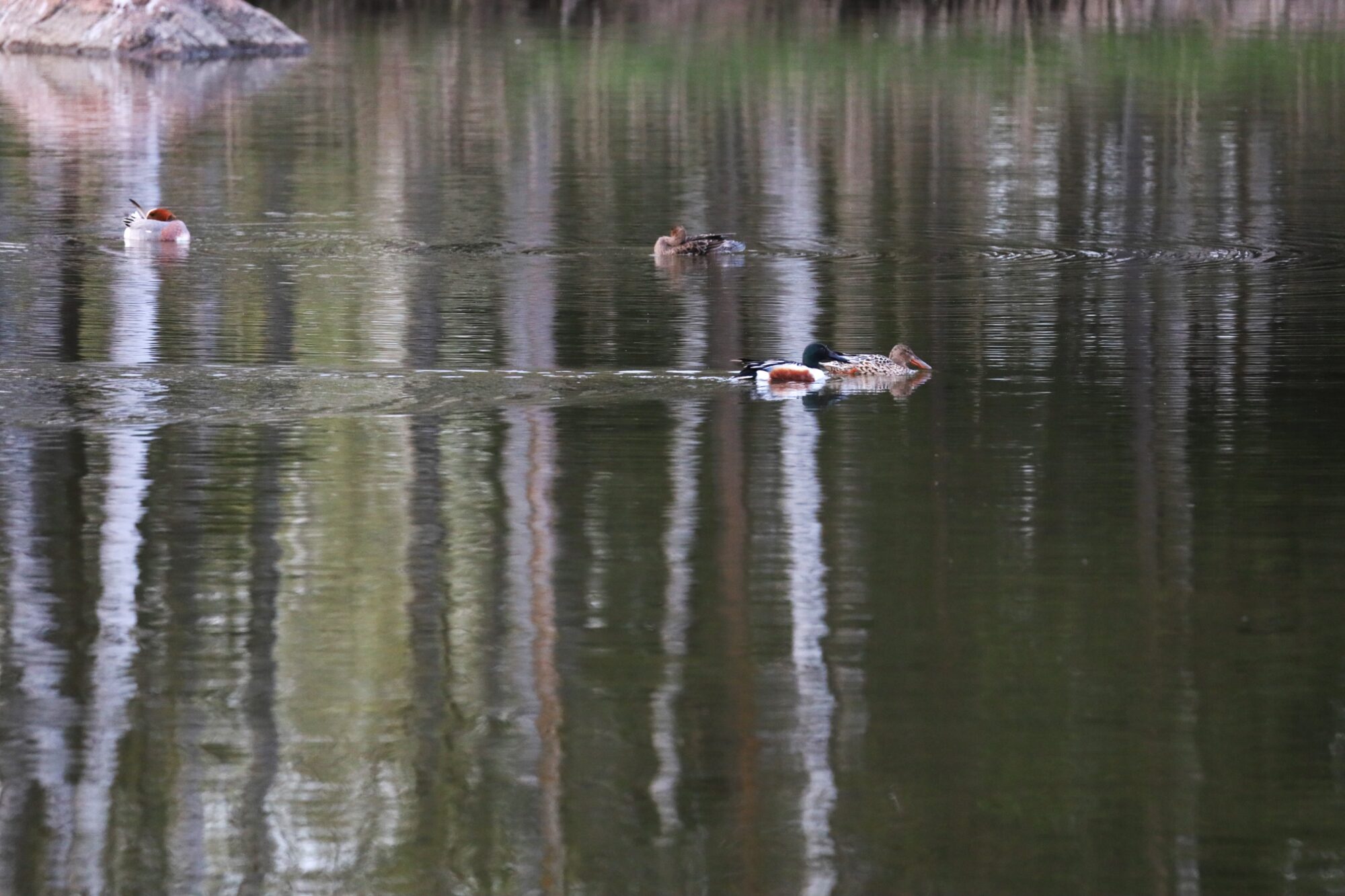 Valokuvaaja: Armi Järvinen