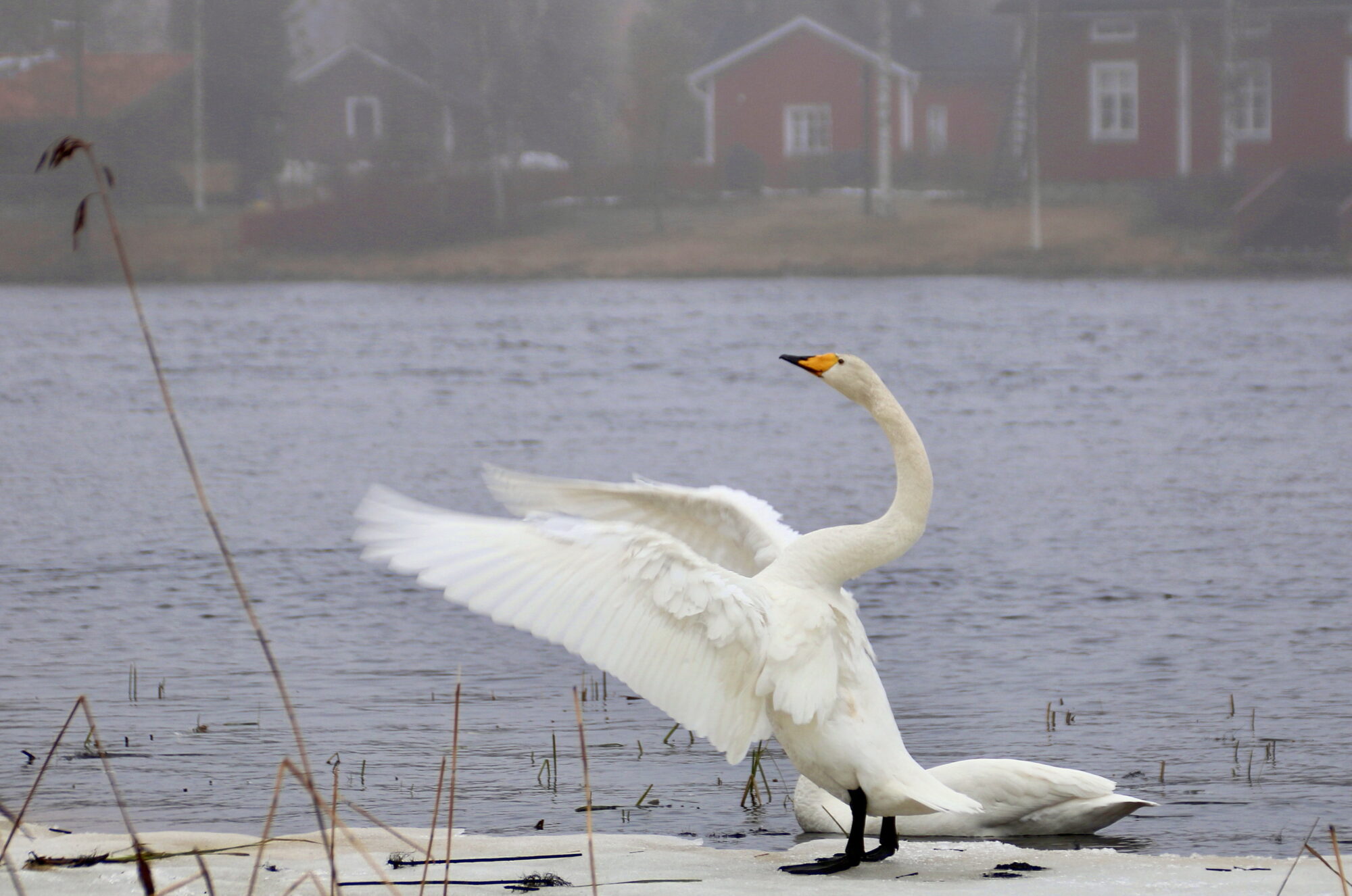 Valokuvaaja: Tuukka Pahtamaa