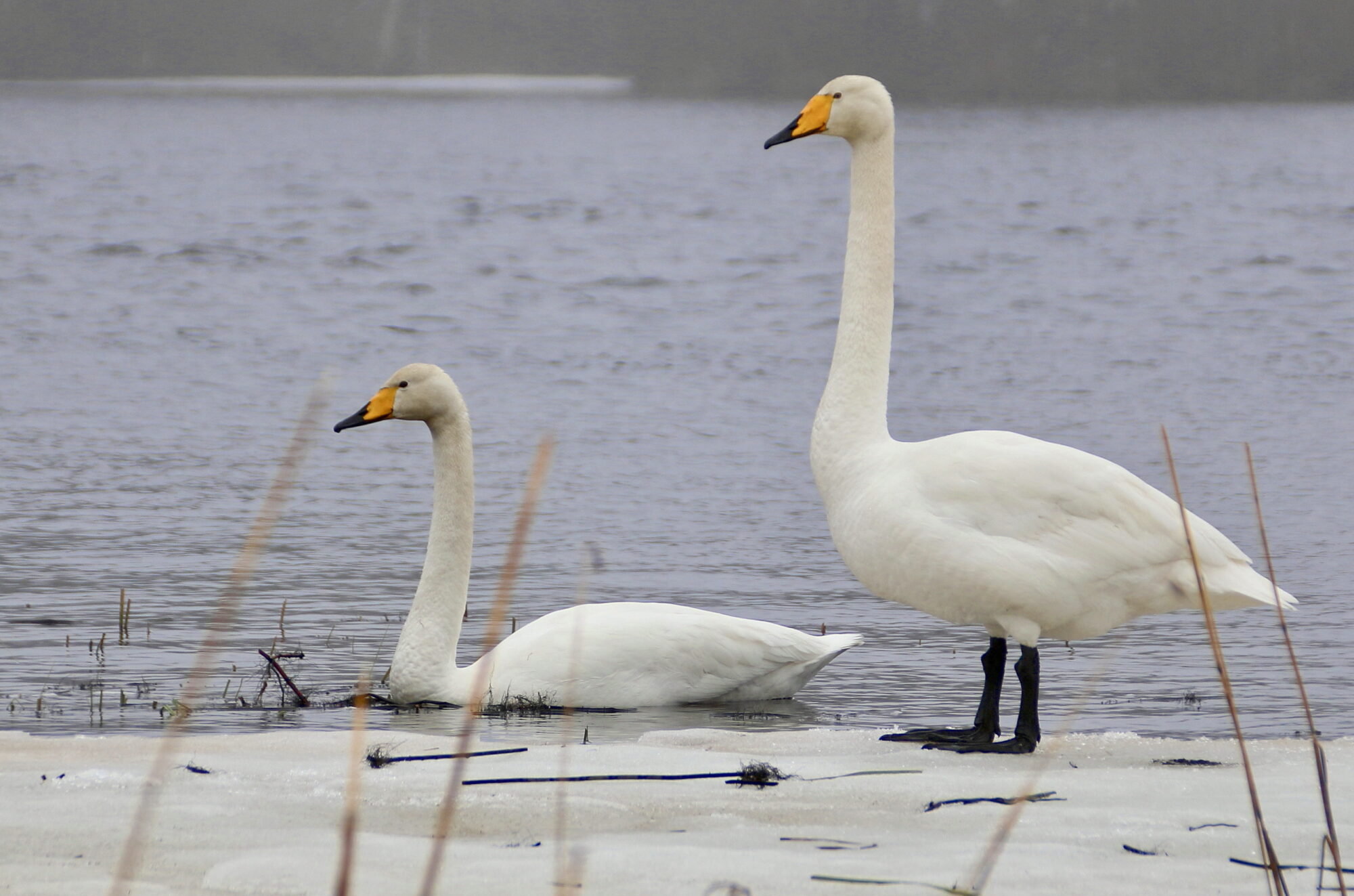 Valokuvaaja: Tuukka Pahtamaa