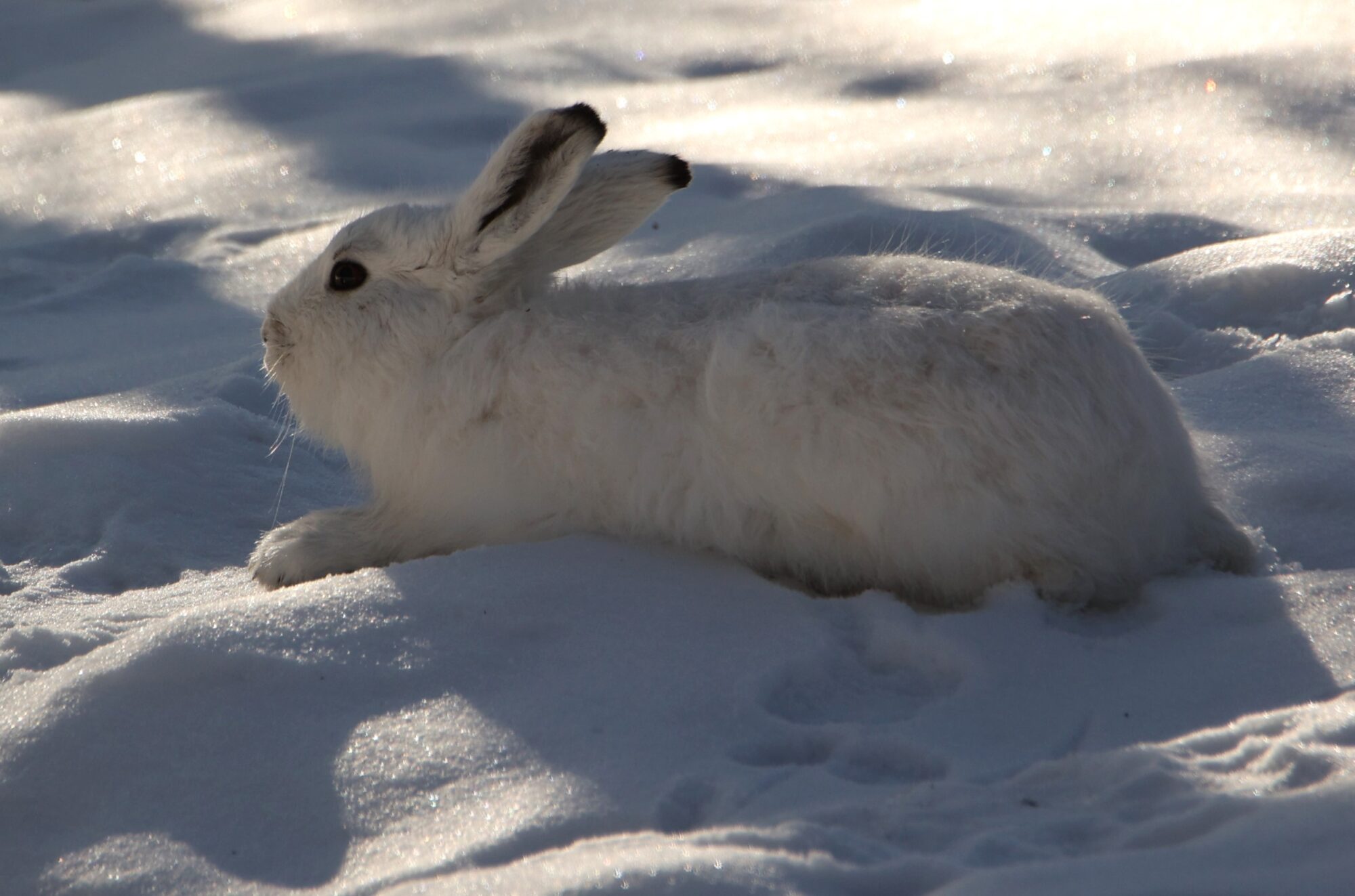 Valokuvaaja: Kaarina Heiskanen