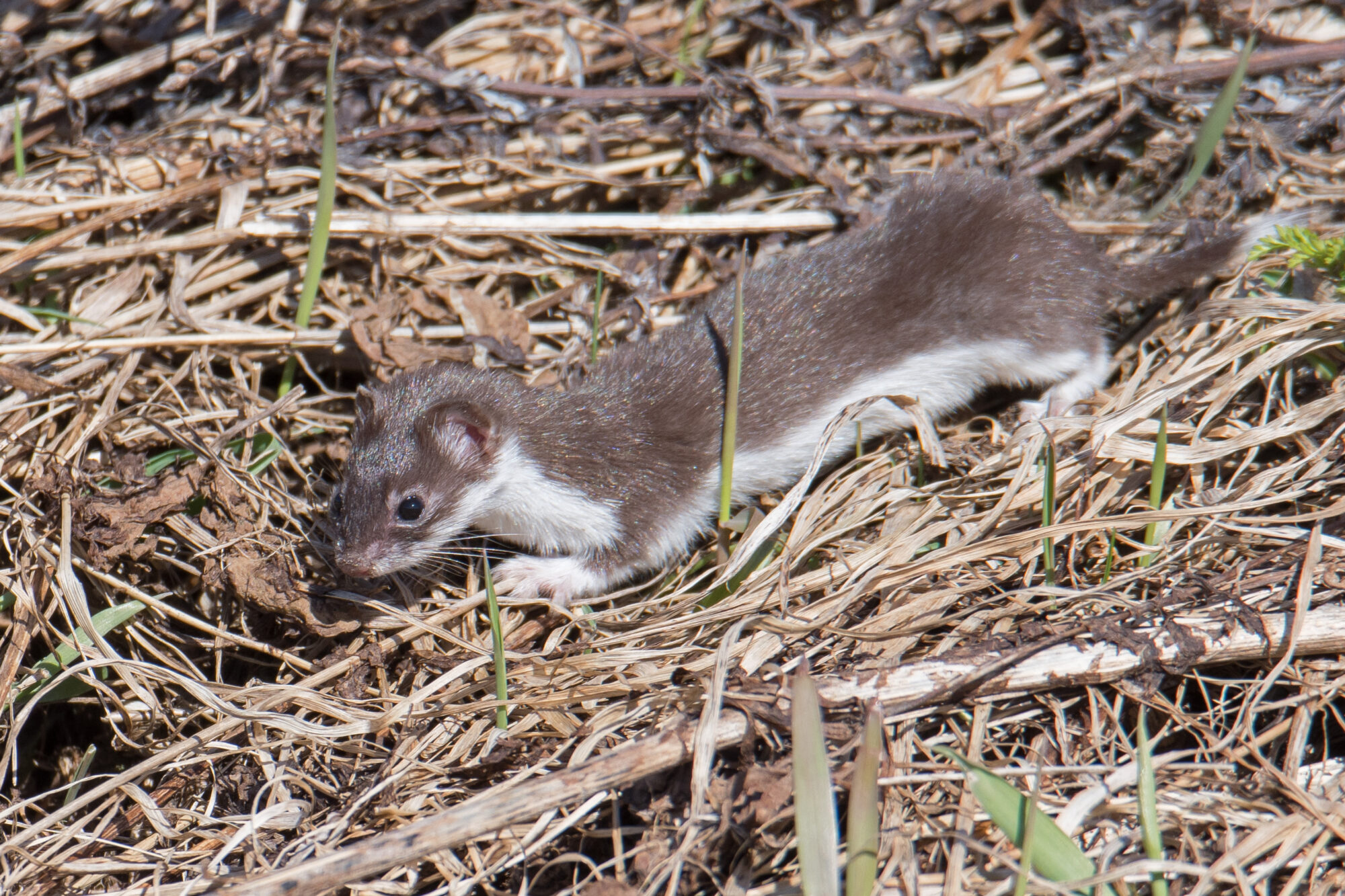 Valokuvaaja: Päivi Mustonen