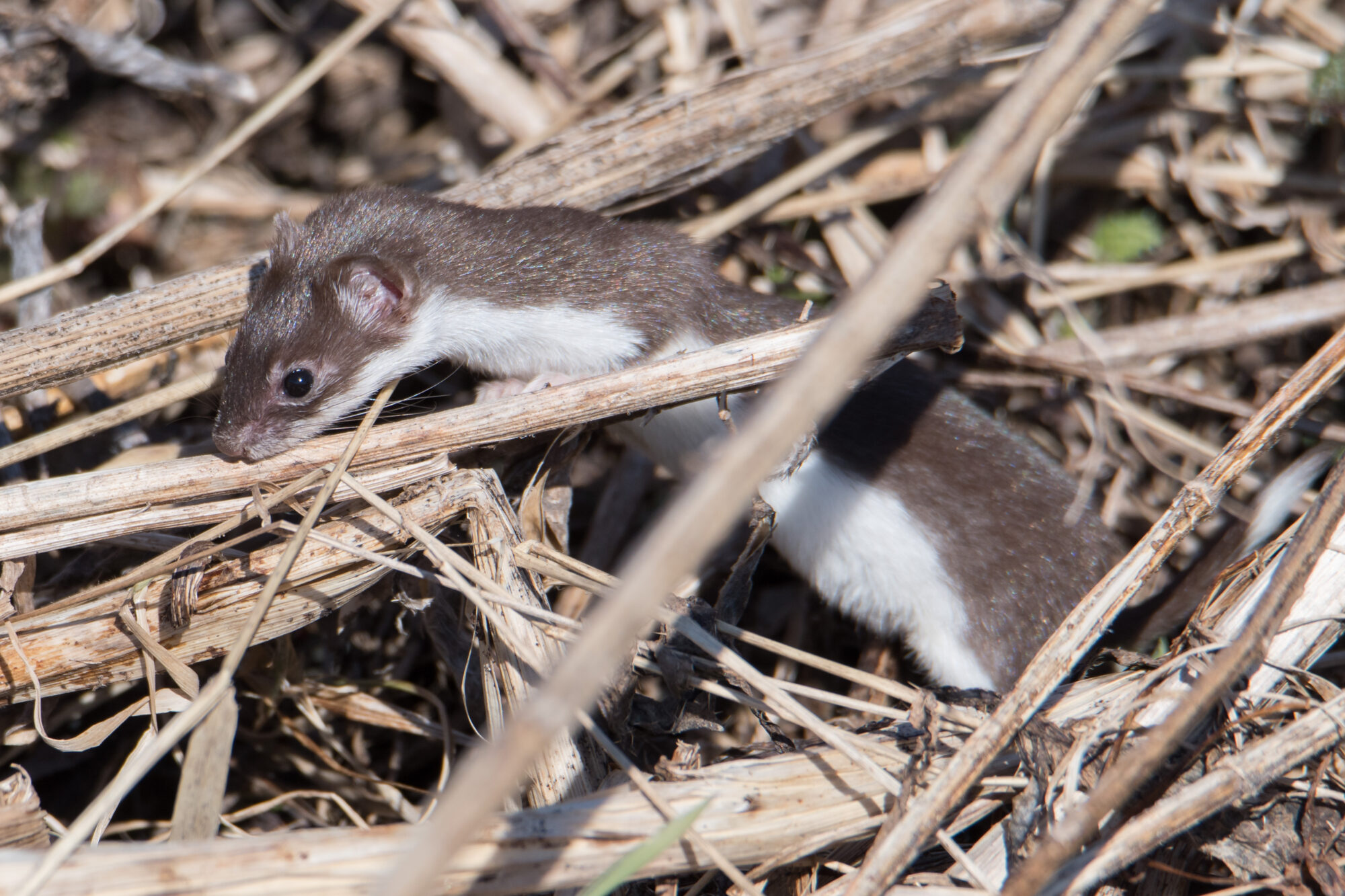 Valokuvaaja: Päivi Mustonen Valokuvaaja: Päivi Mustonen