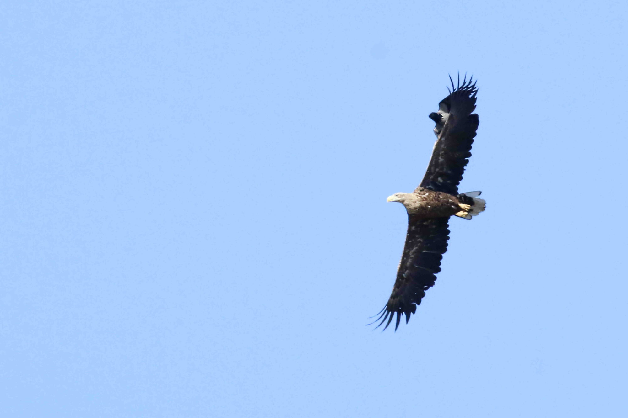 Valokuvaaja: Antero Tykkyläinen
