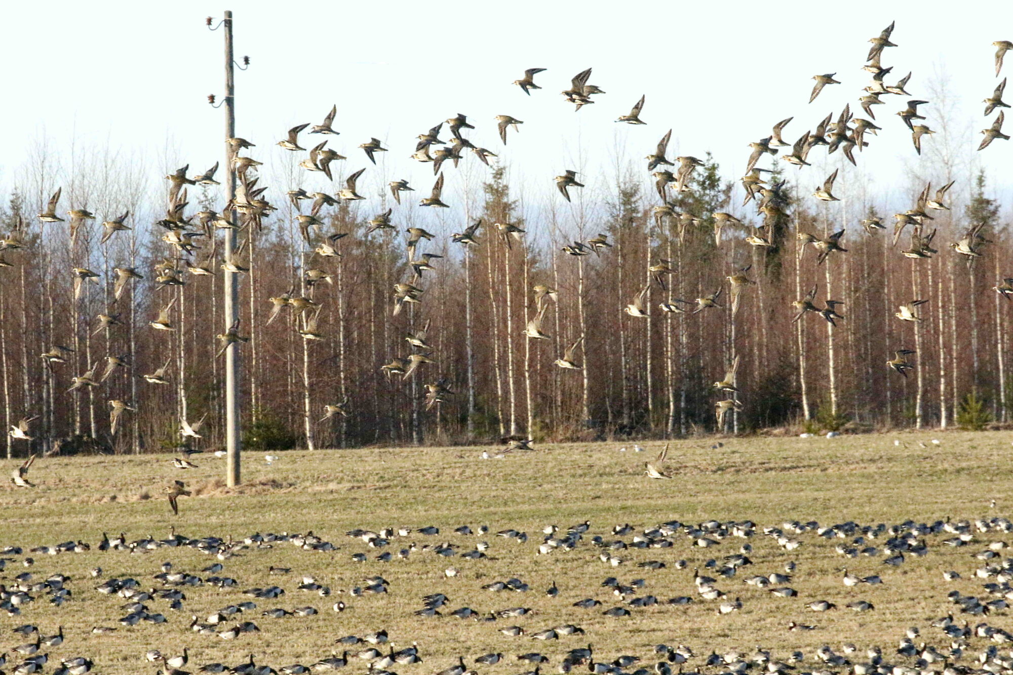Valokuvaaja: Antero Tykkyläinen