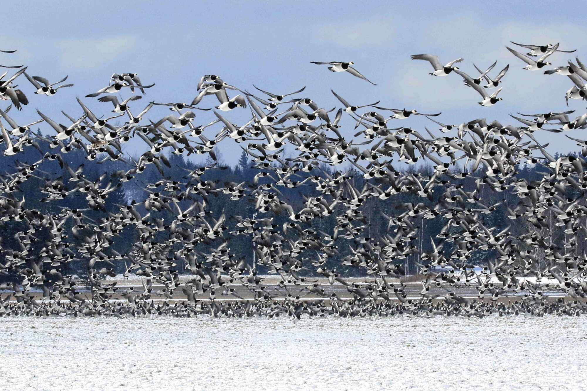 Valokuvaaja: Antero Tykkyläinen