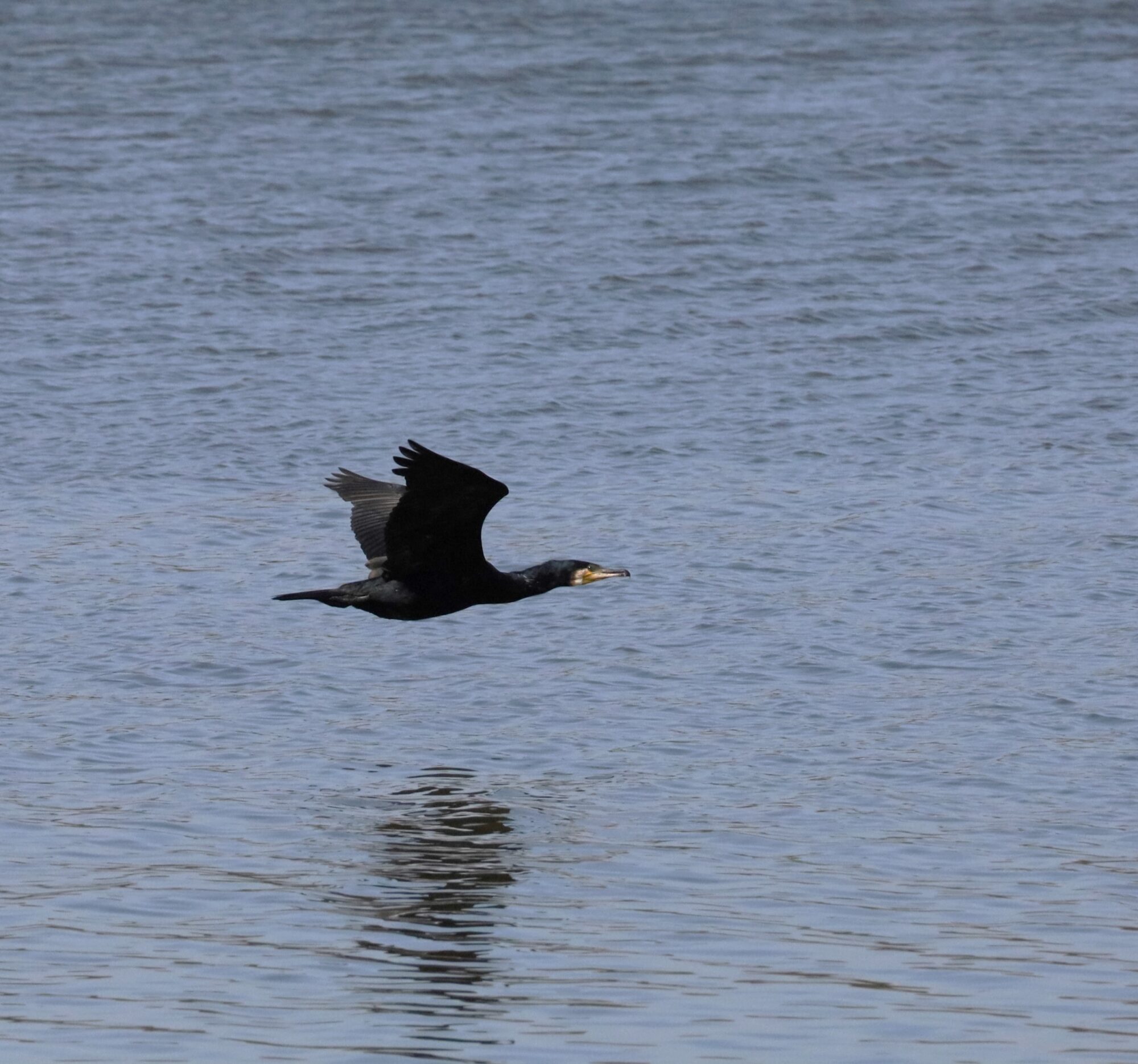 Valokuvaaja: Armi Järvinen