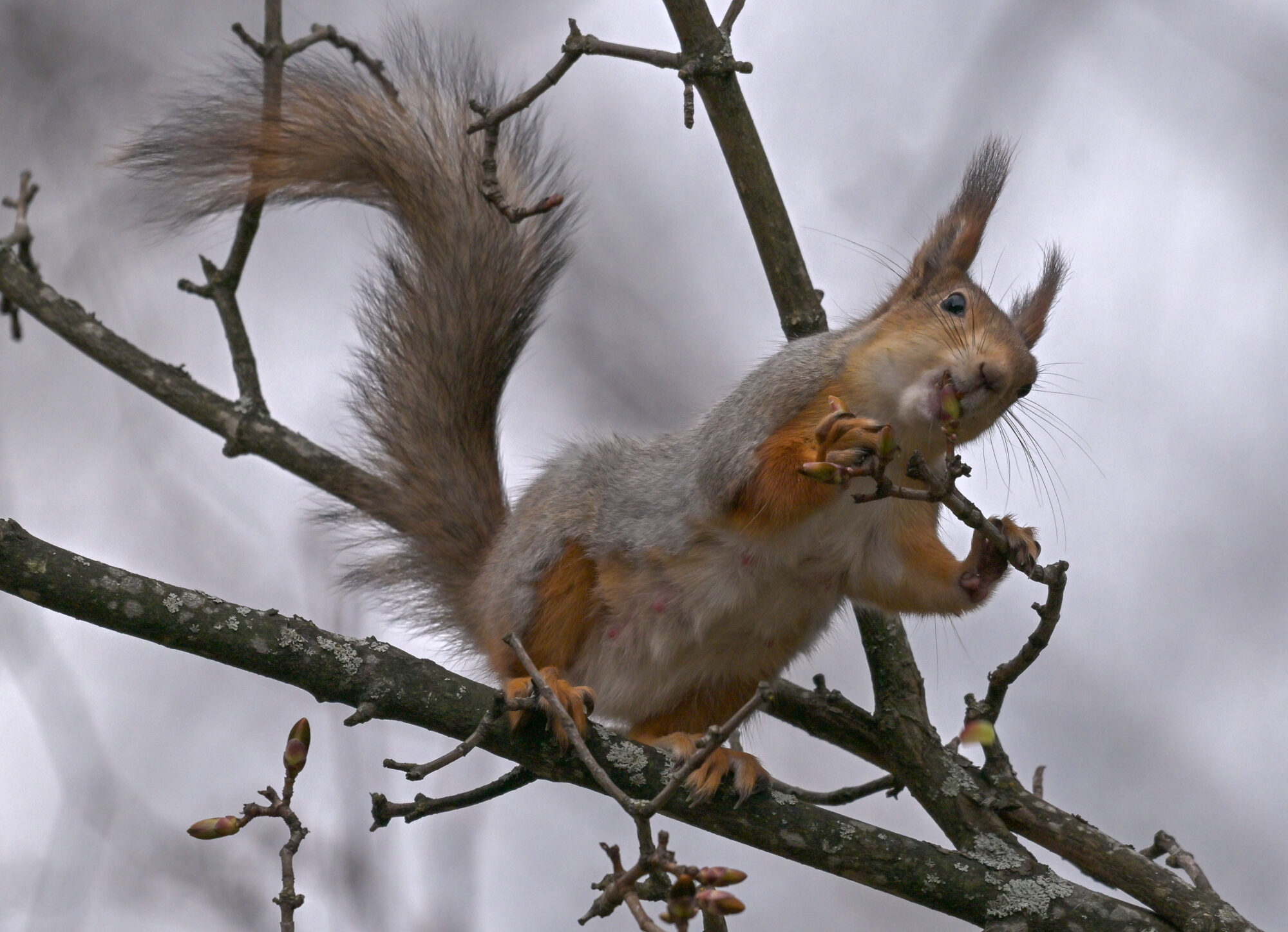 Valokuvaaja: Matti Manninen